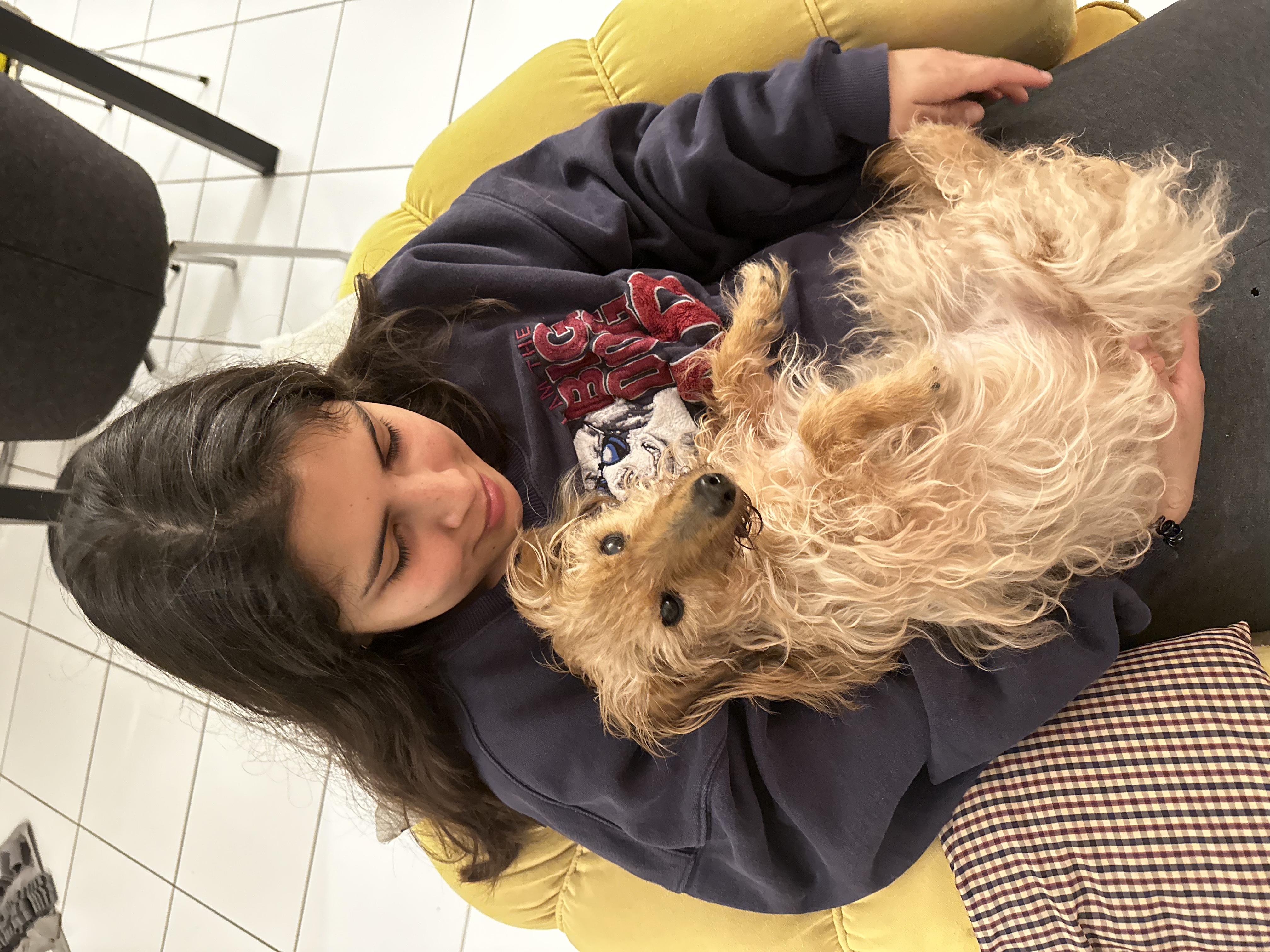 image-7