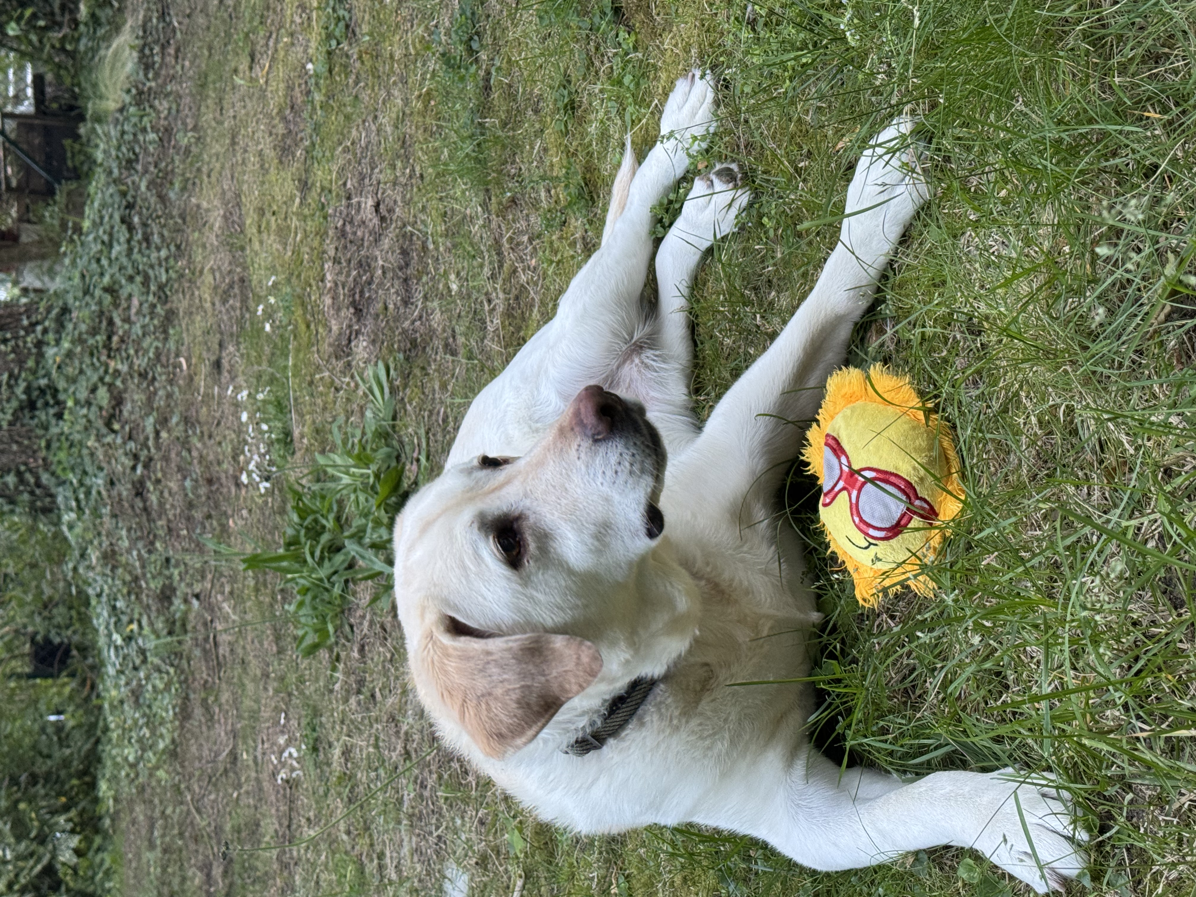 image-4