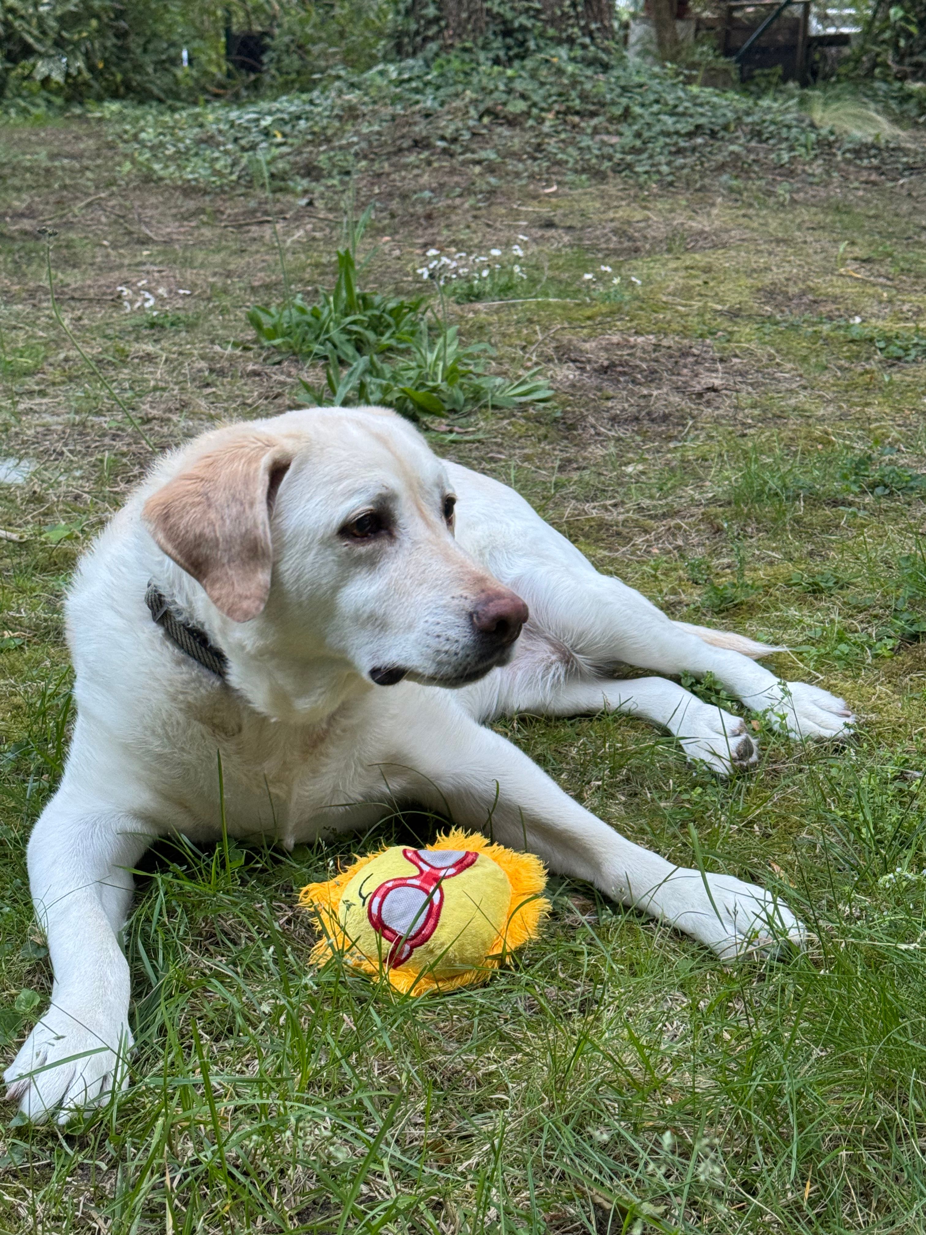 image-4