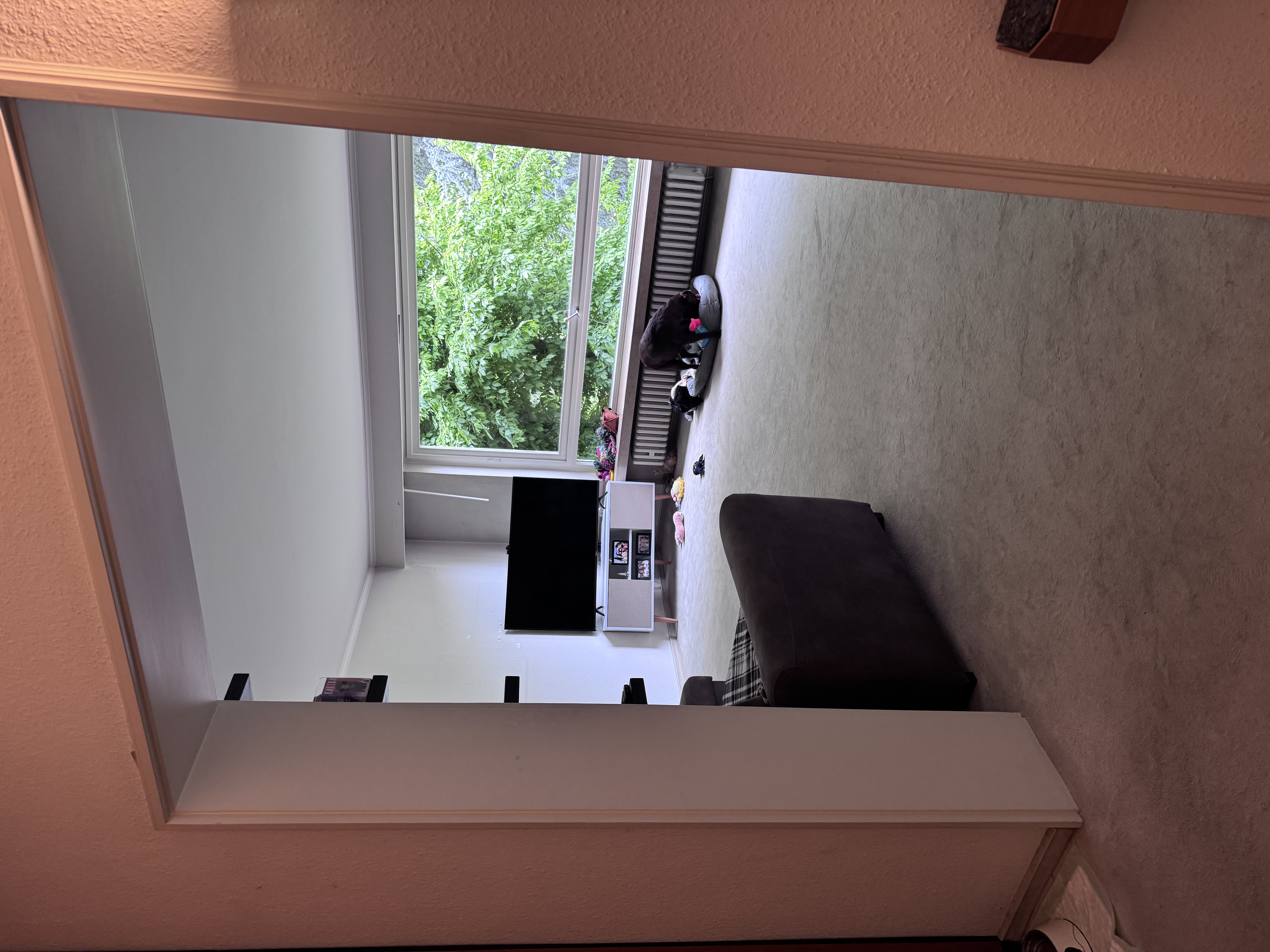 image-20