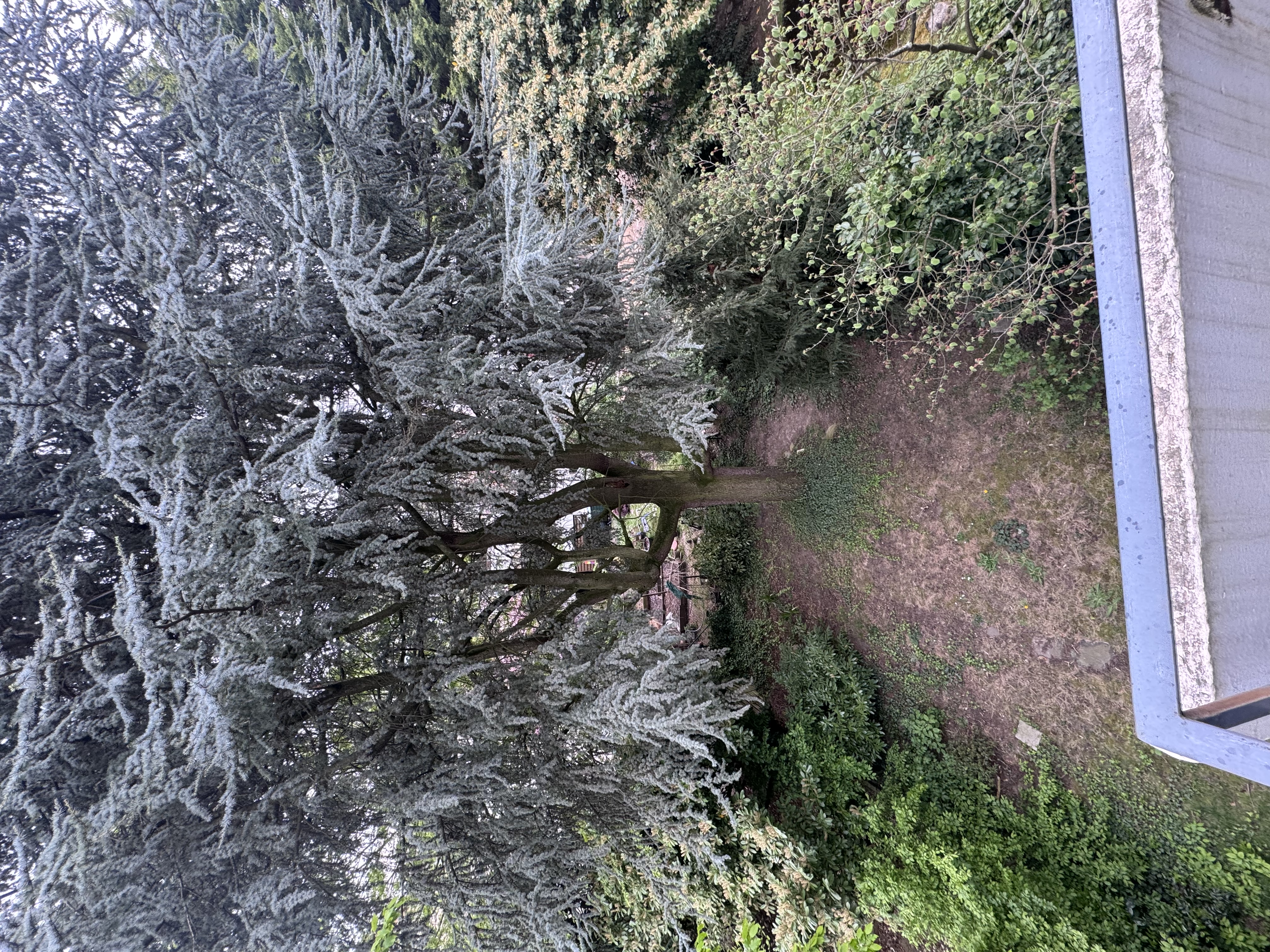 image-26
