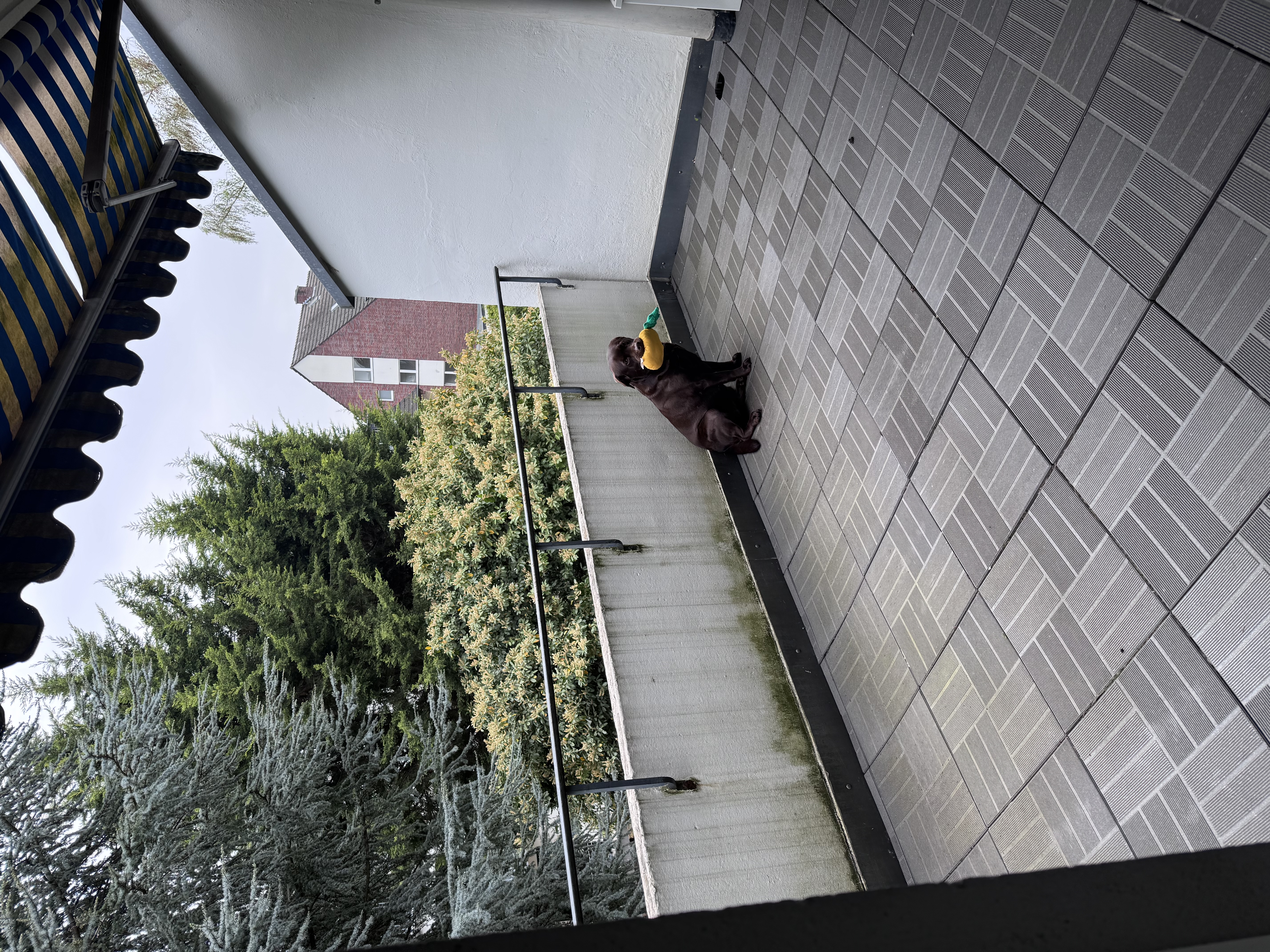 image-24