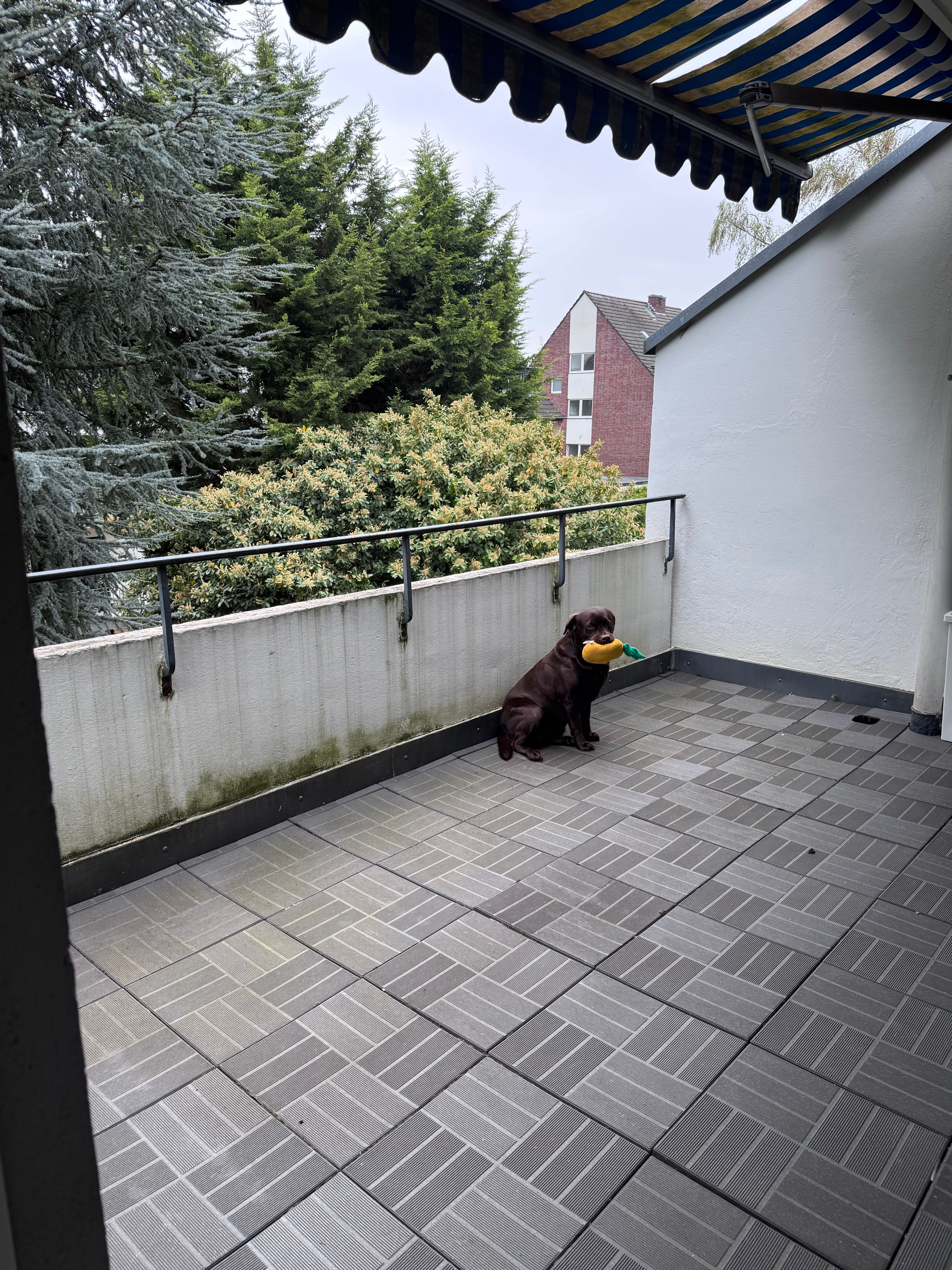 image-24