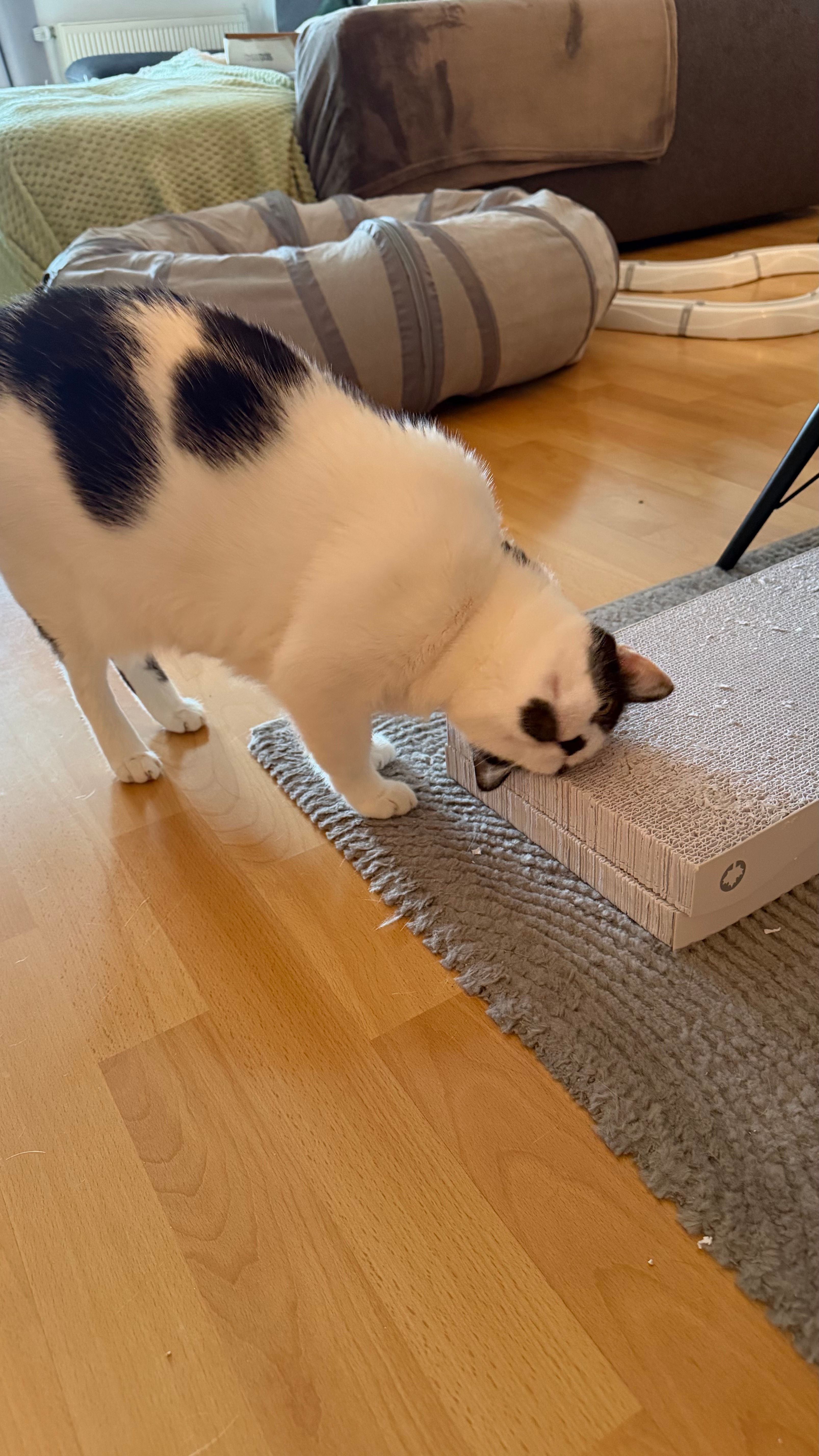 image-12