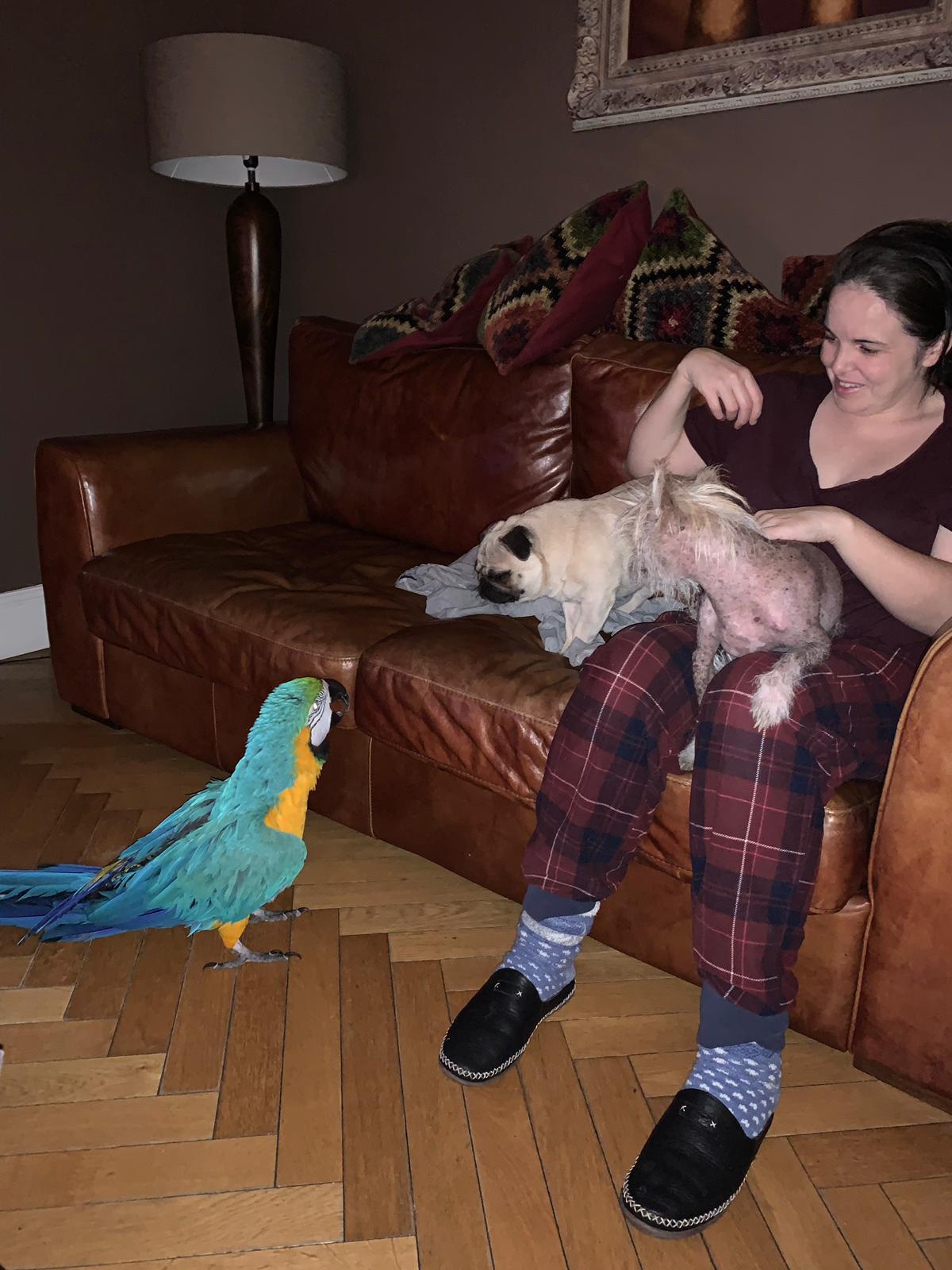 image-42