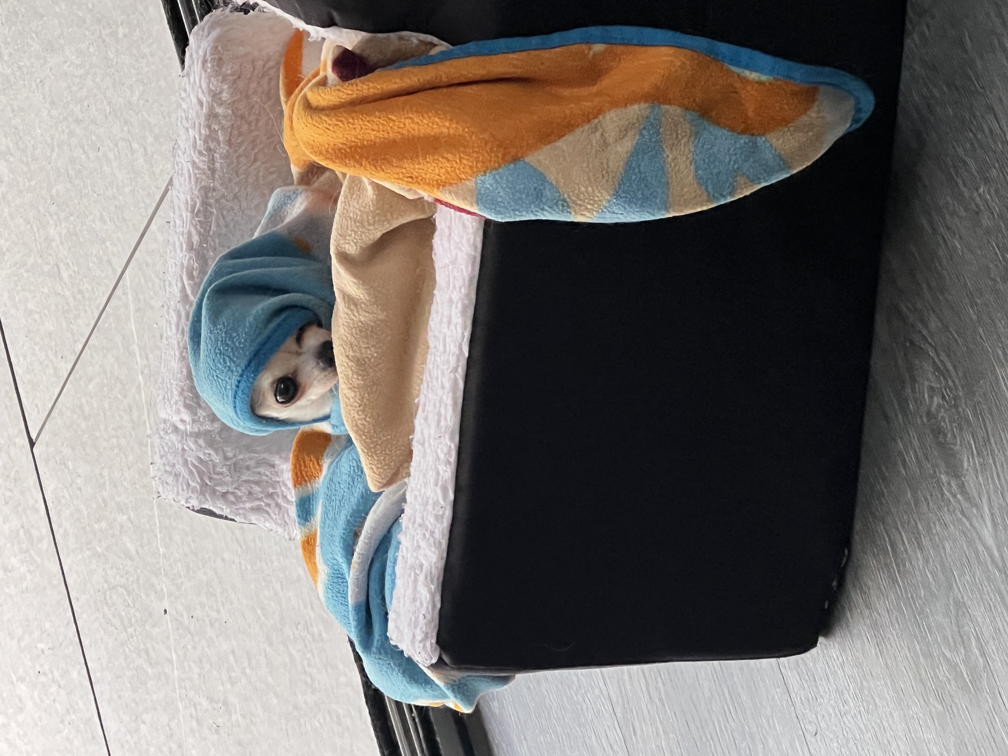 image-27