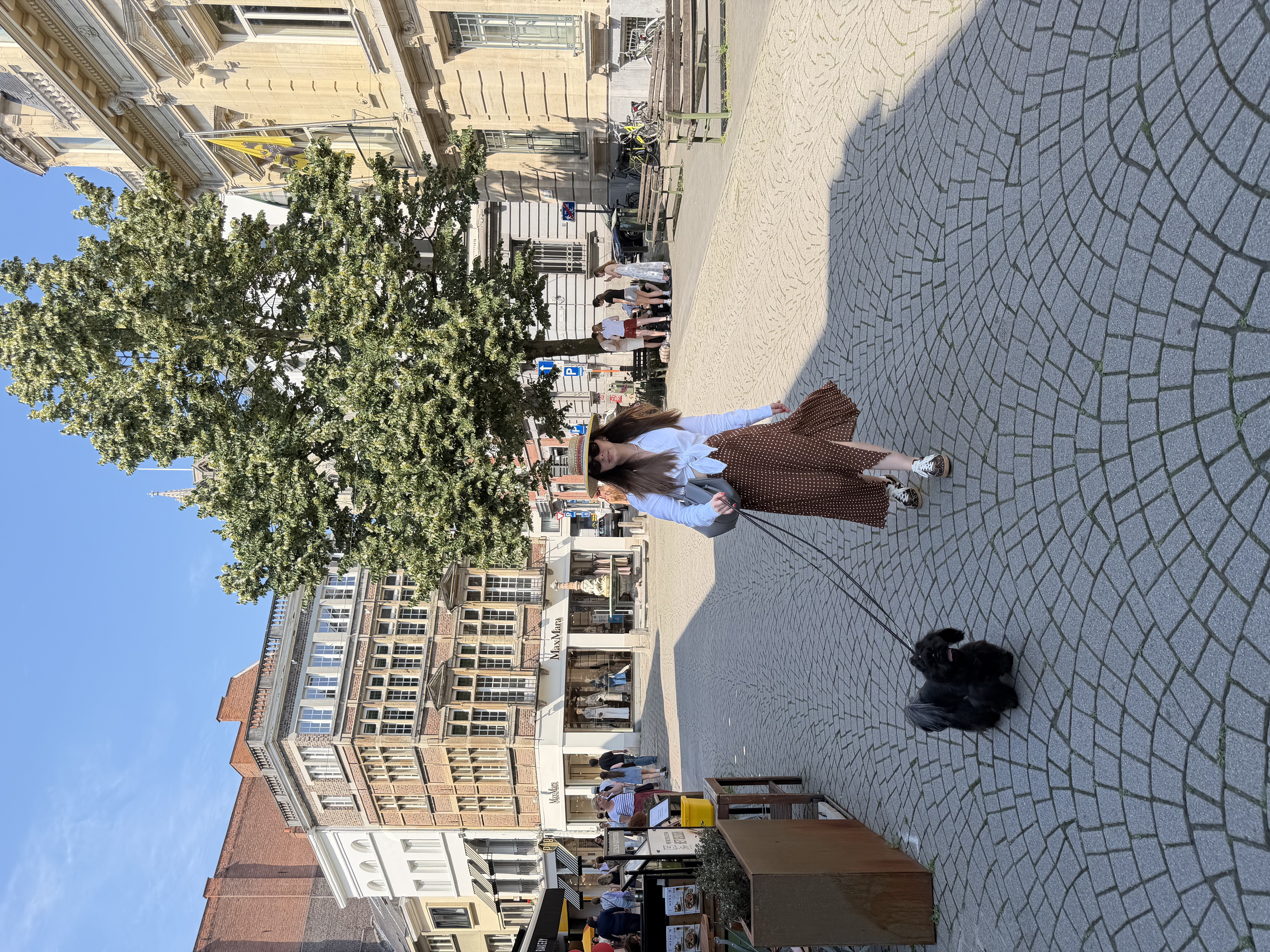 image-4