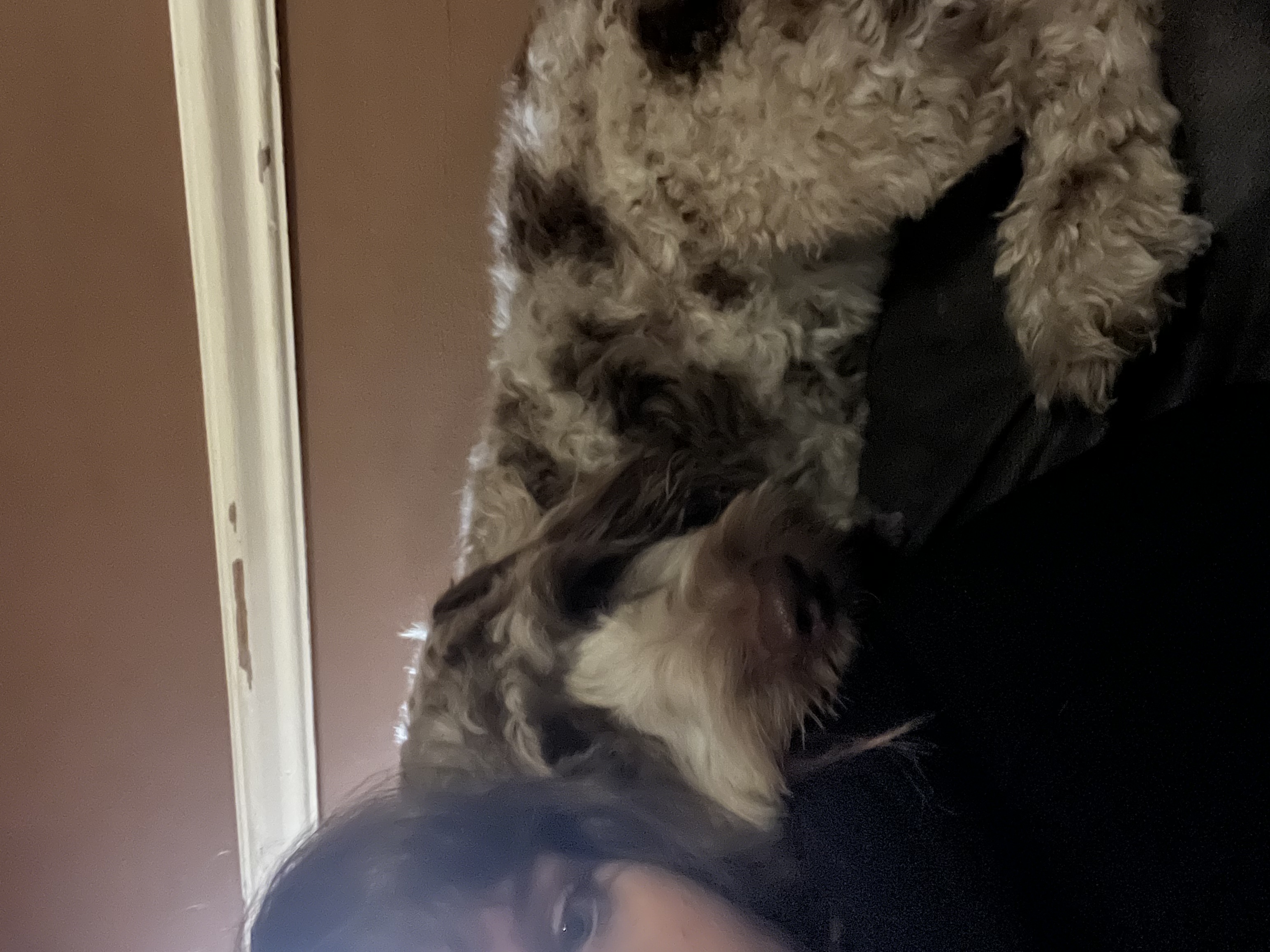 image-10