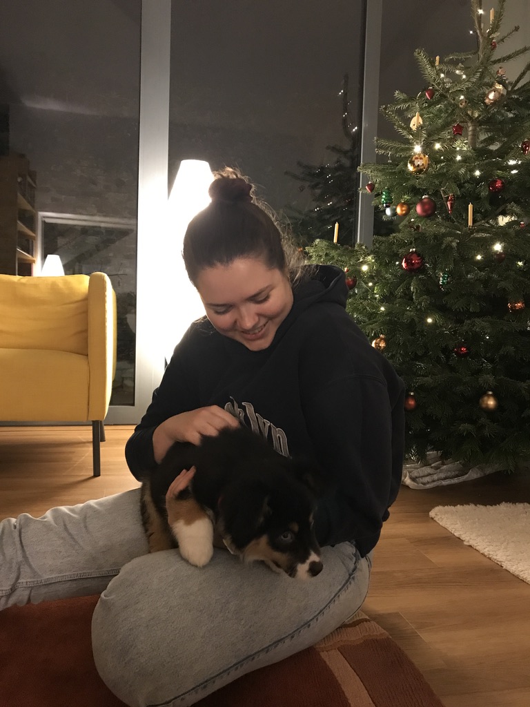 image-6