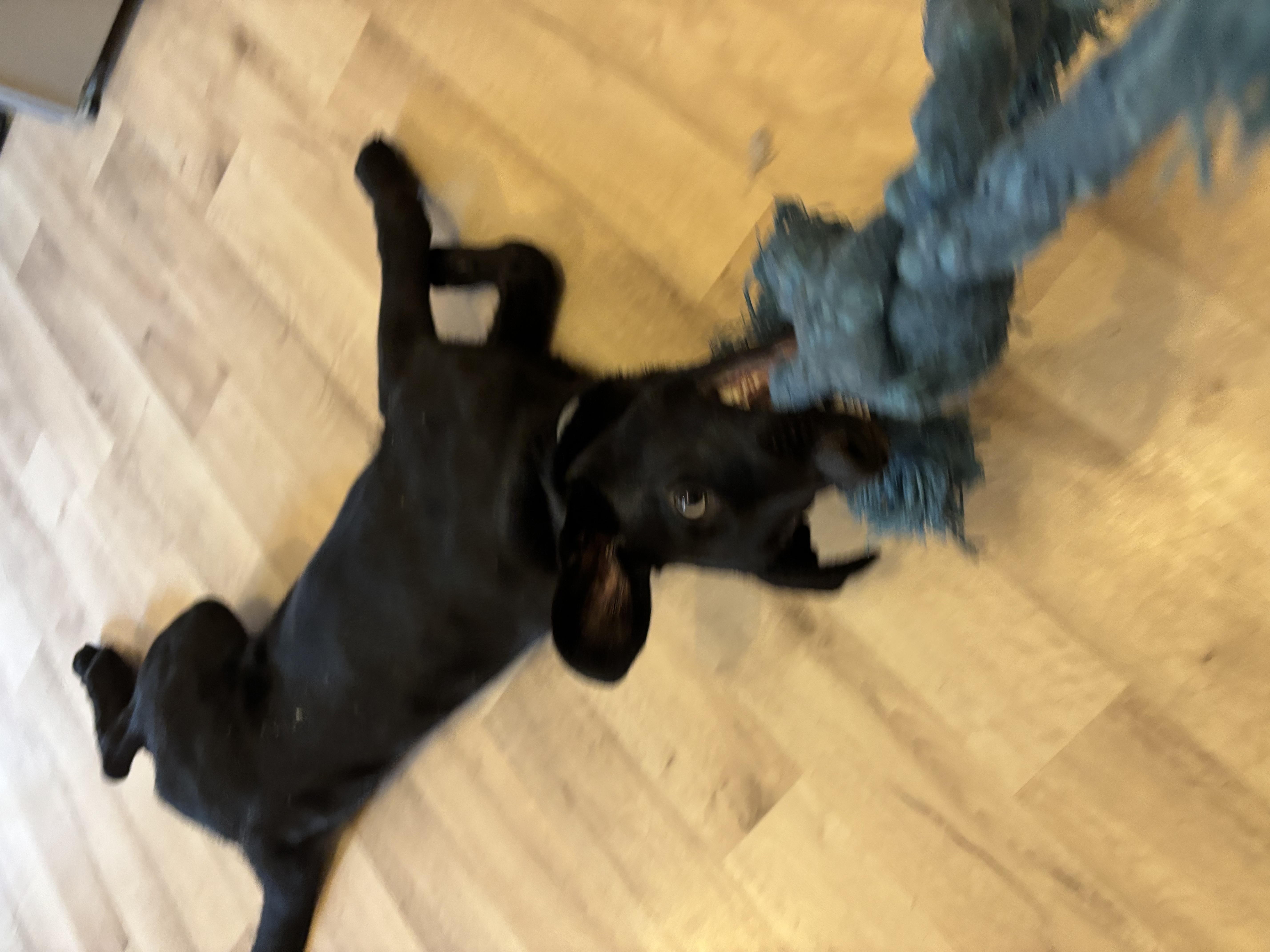 image-7