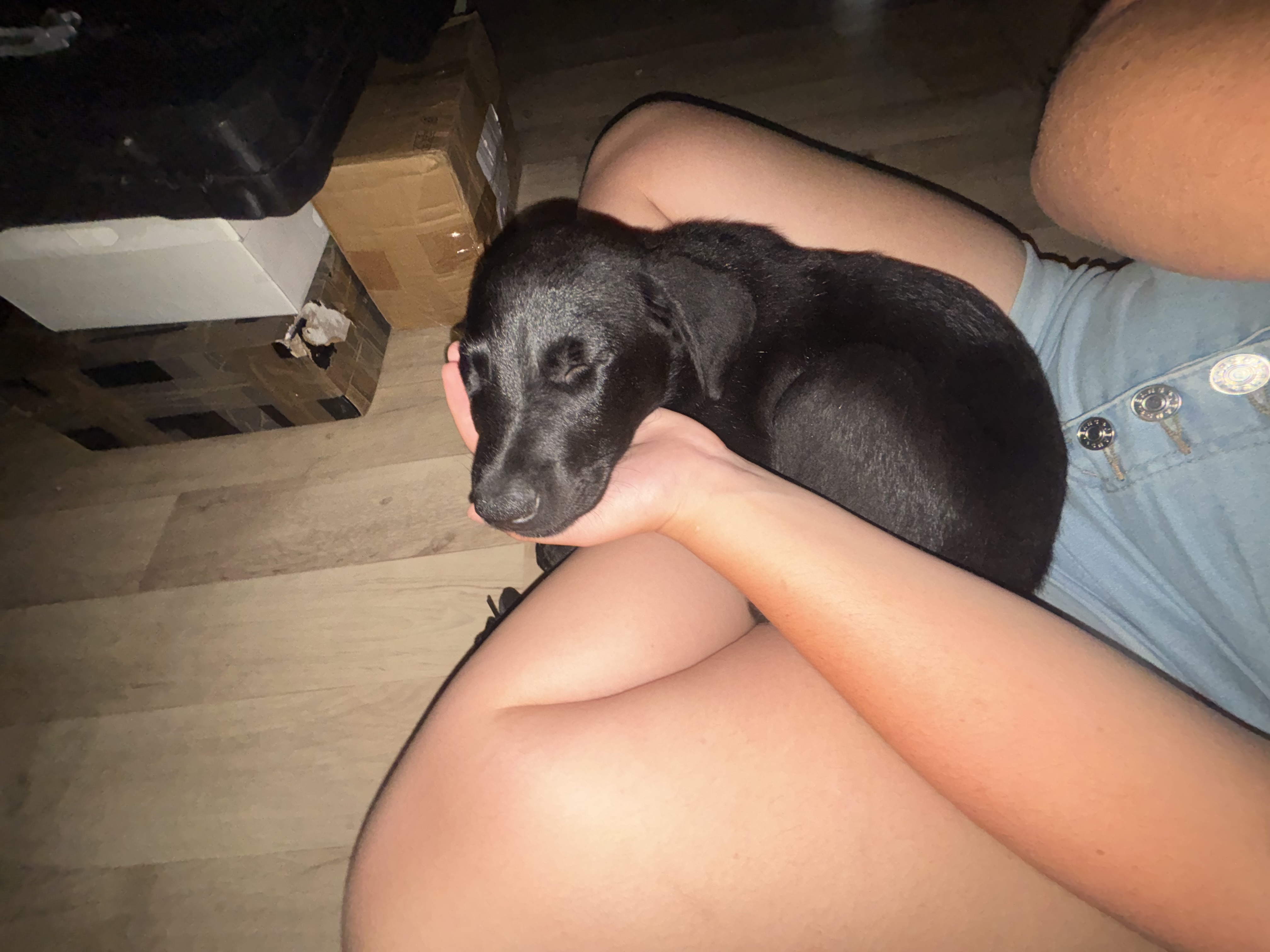 image-6