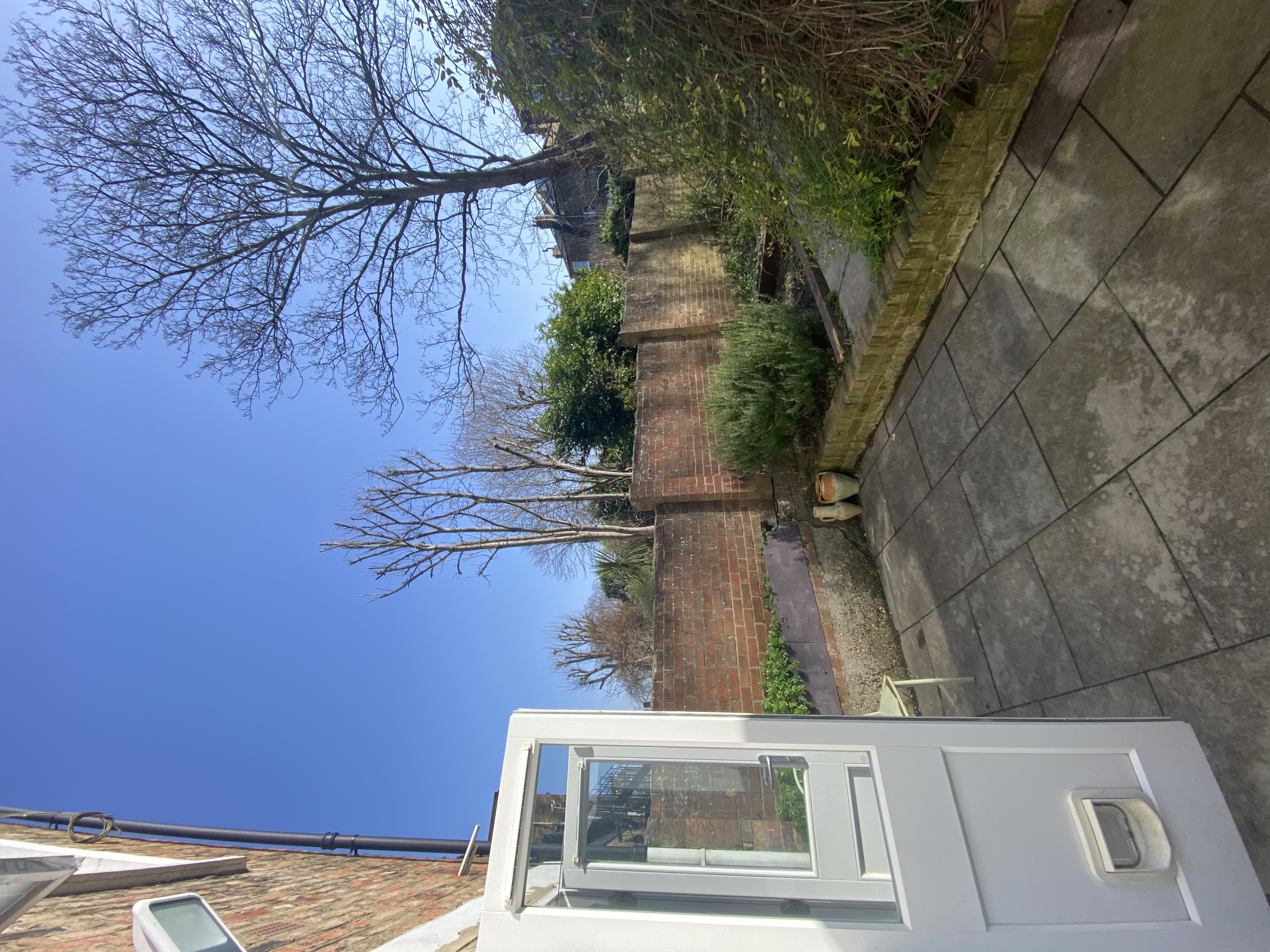 image-11
