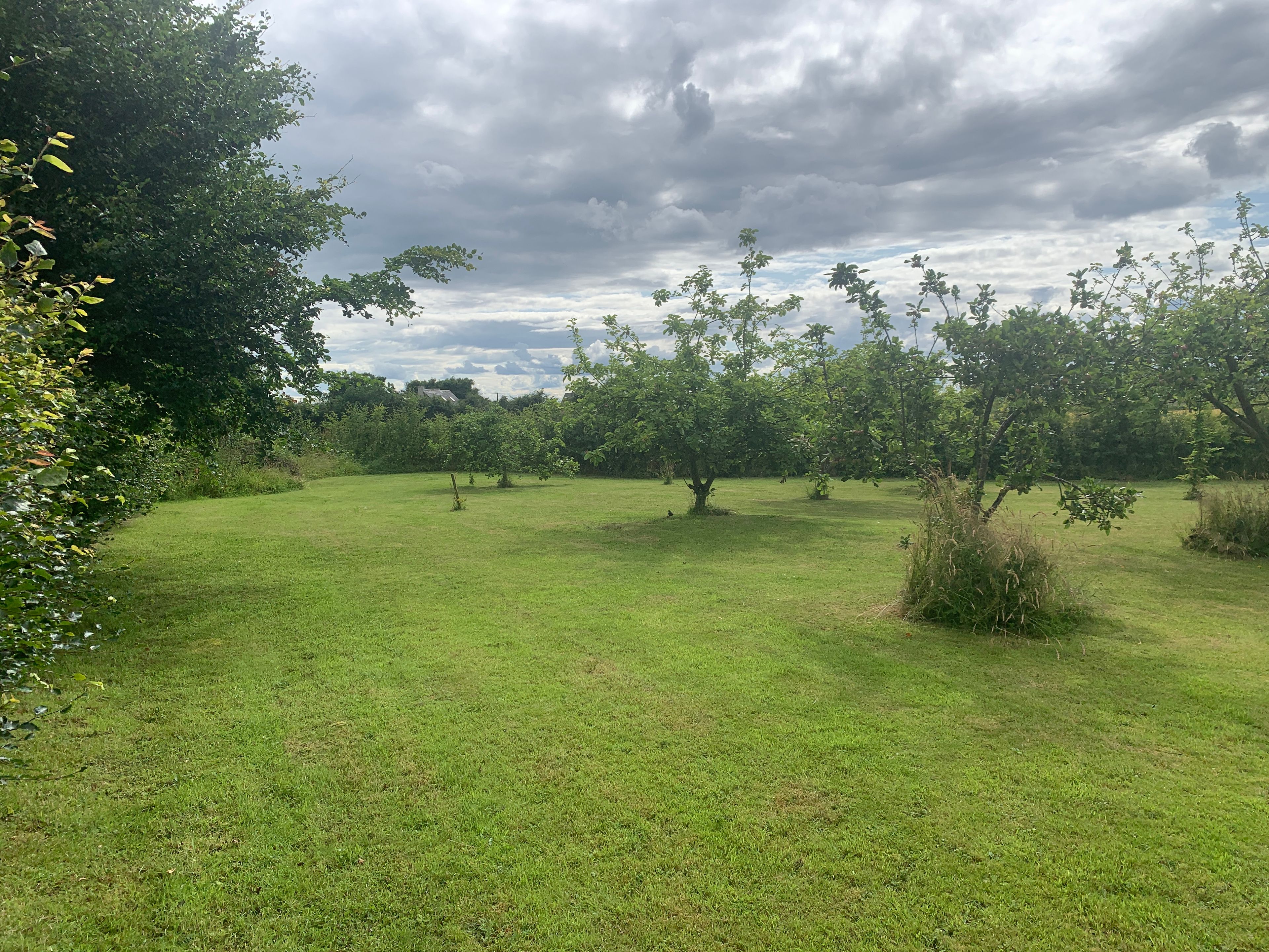 image-19