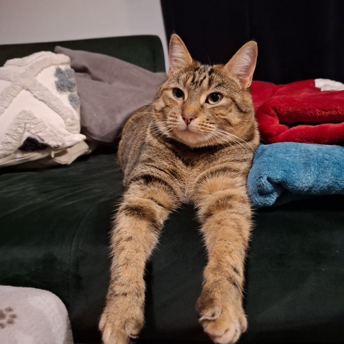 Kiki