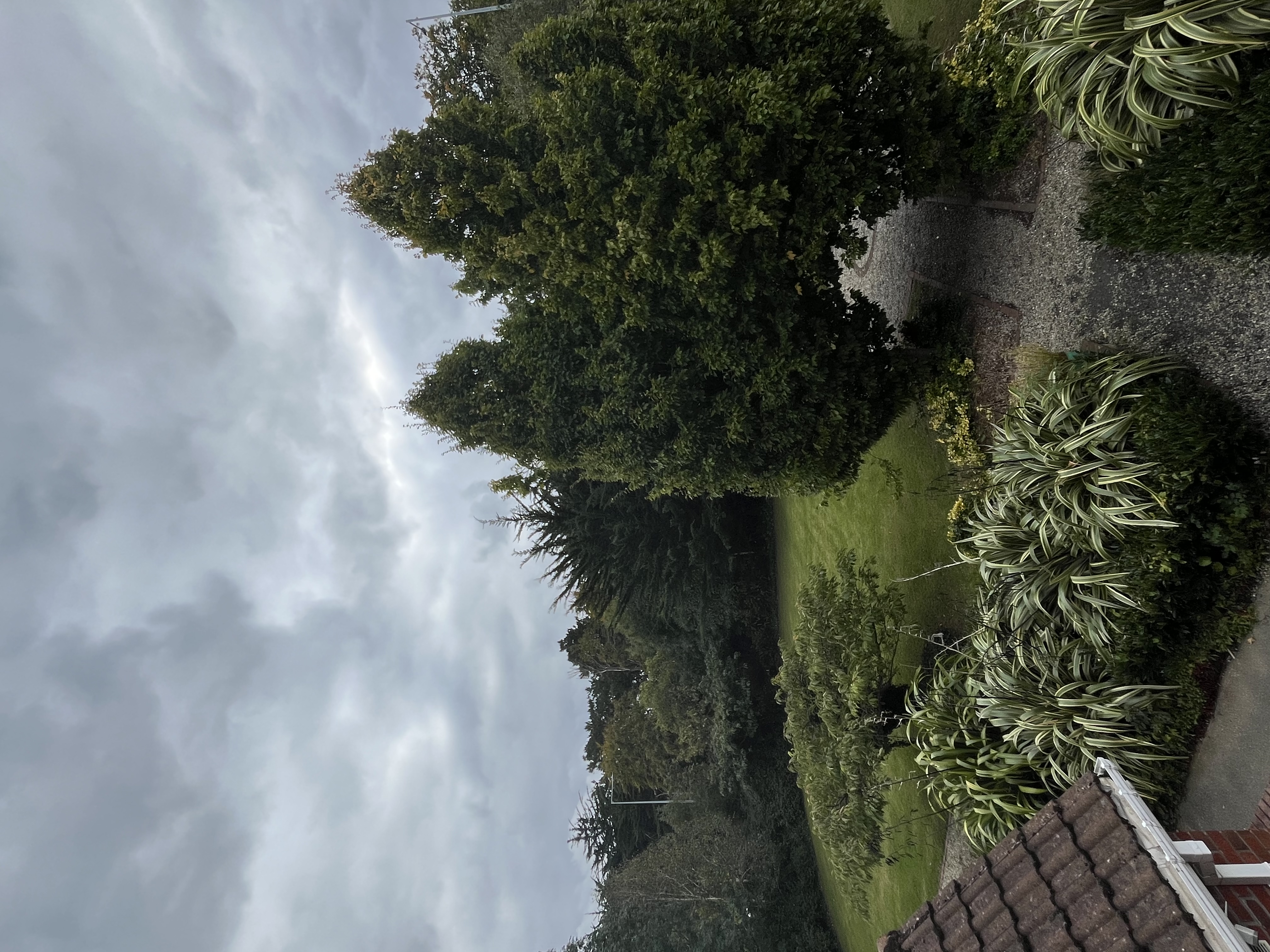 image-24