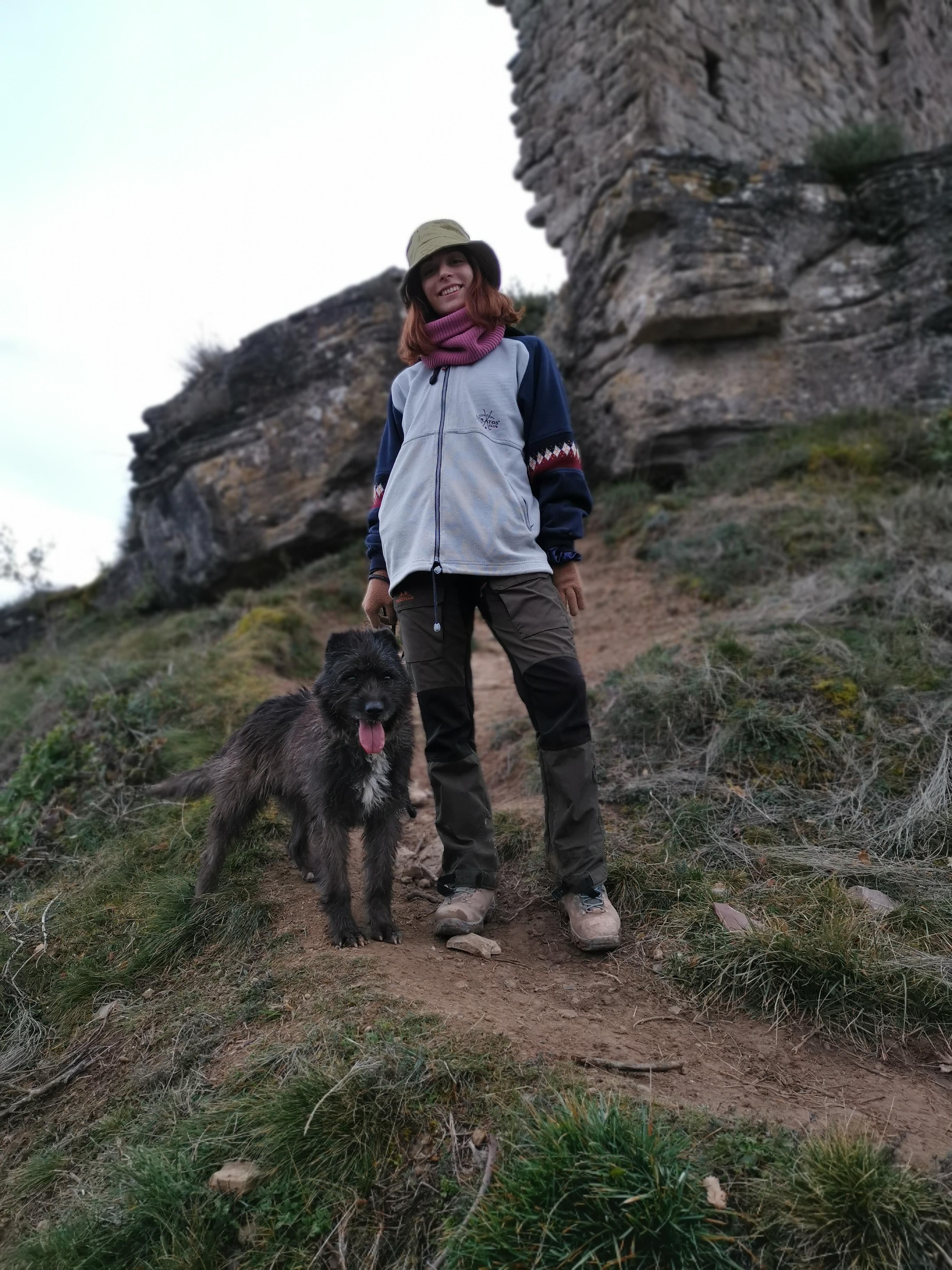 image-4