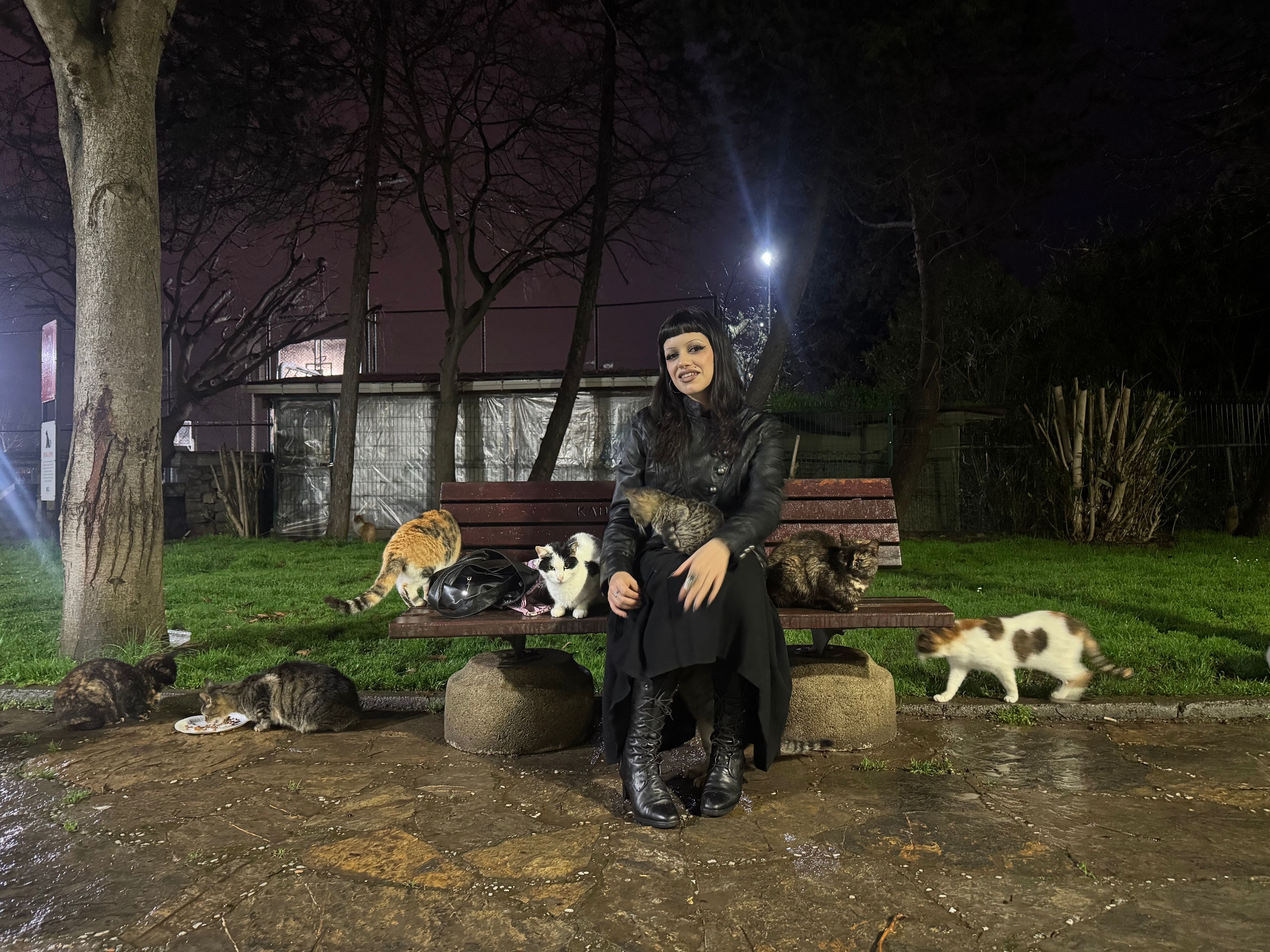 image-6
