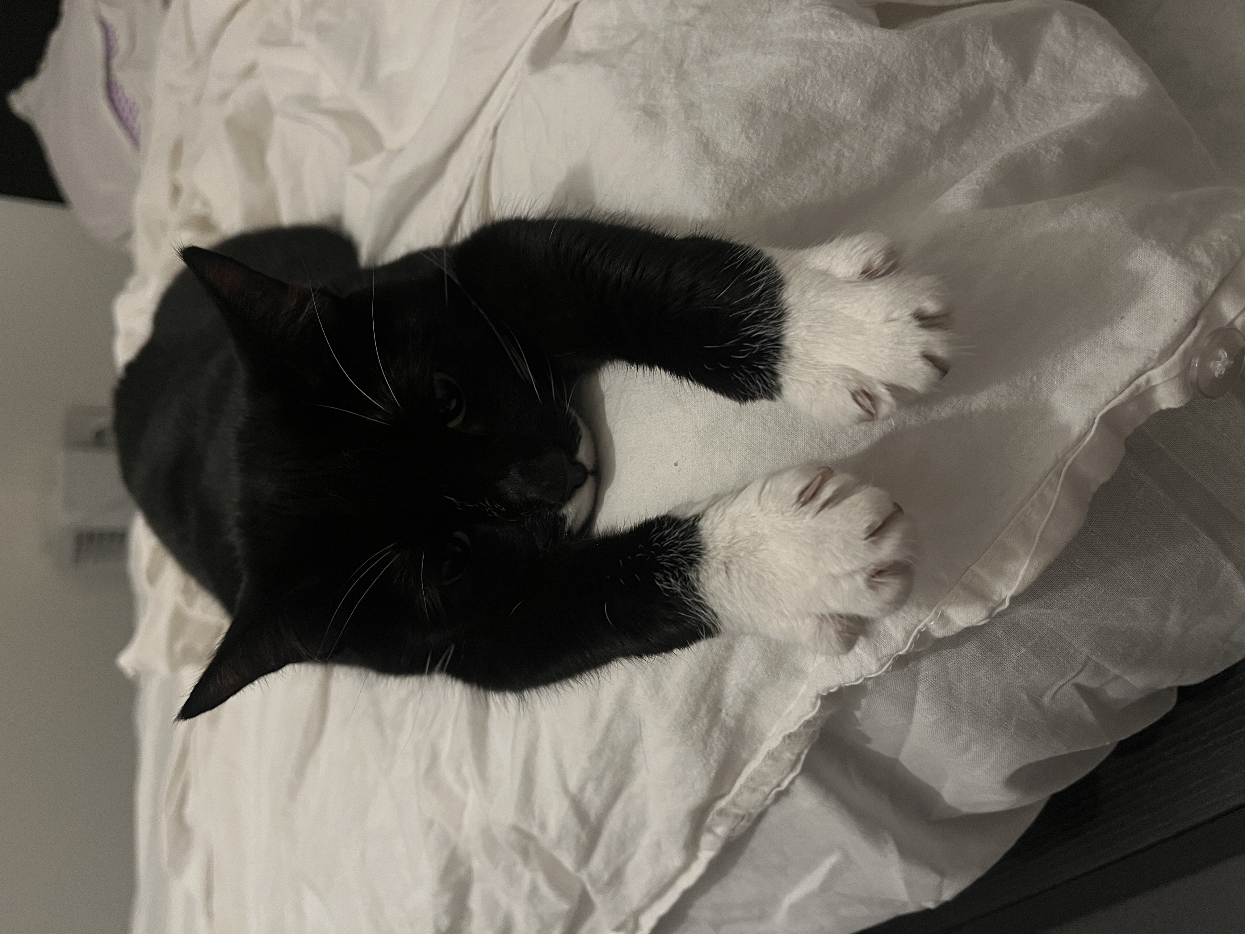 image-13