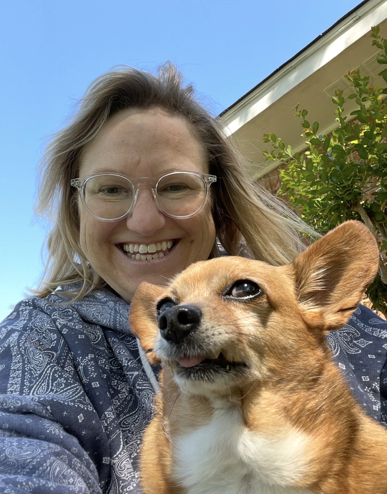 image-4