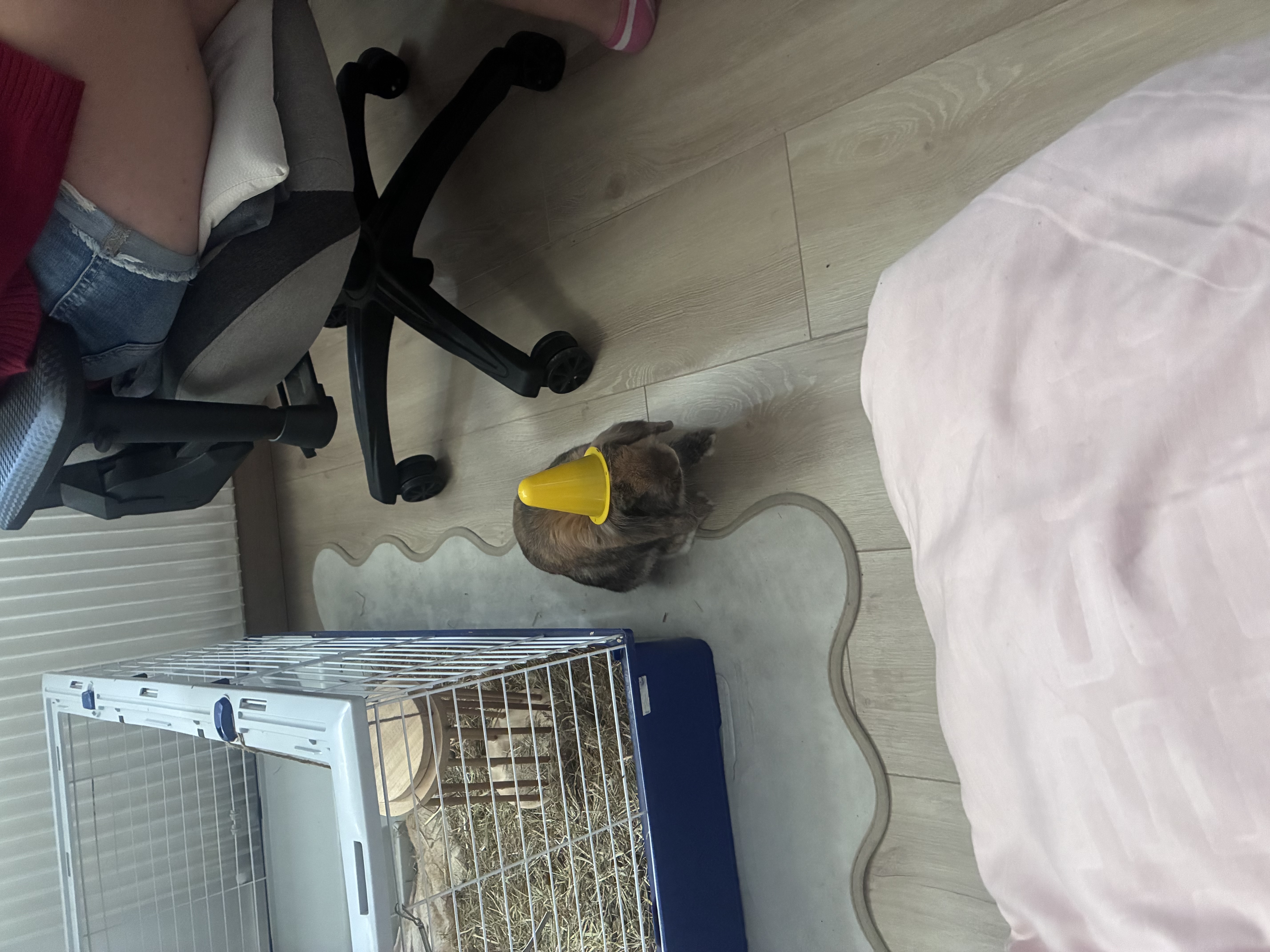 image-7