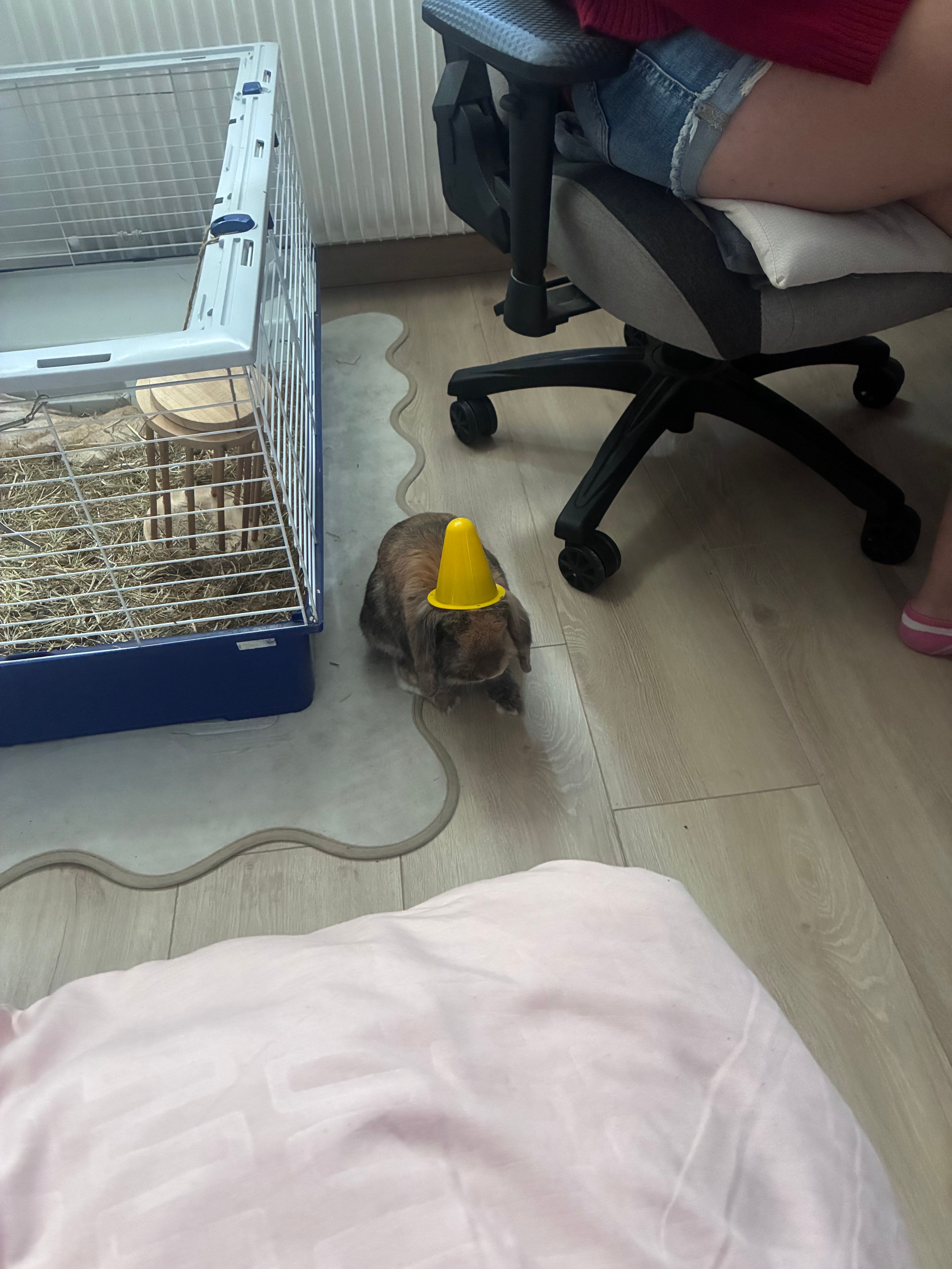 image-7