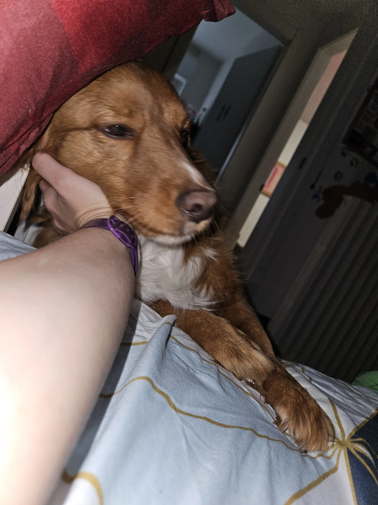 image-8
