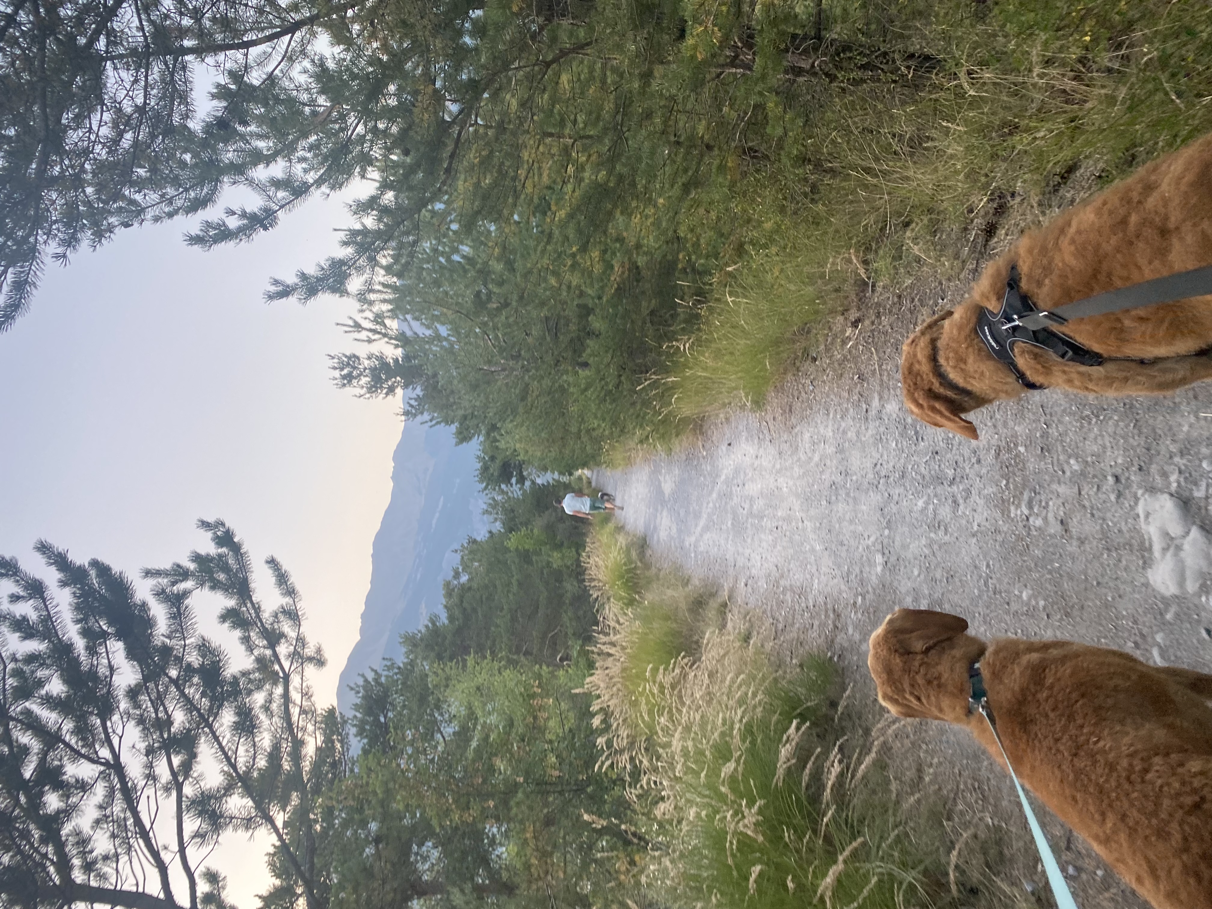 image-6