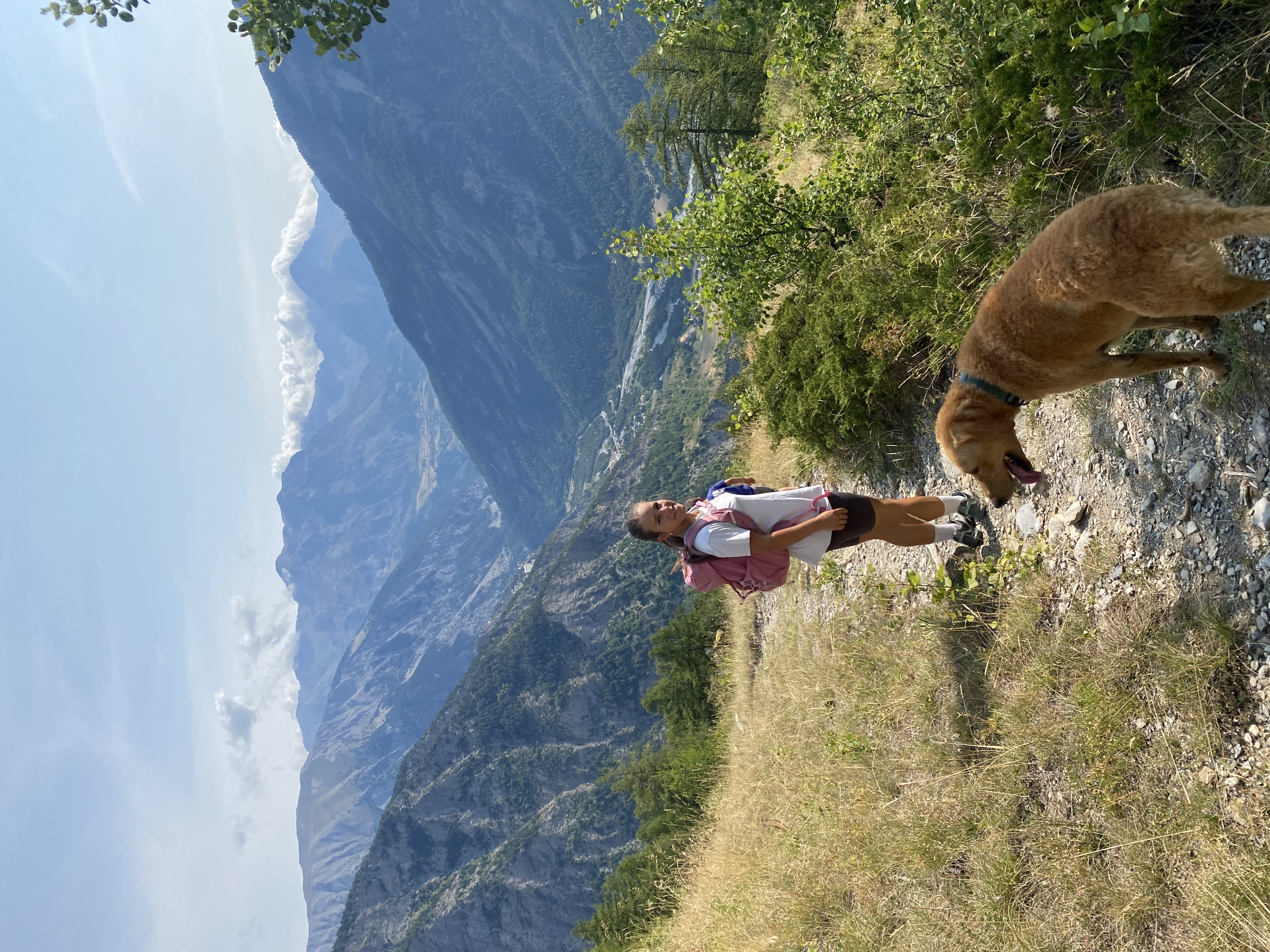 image-5