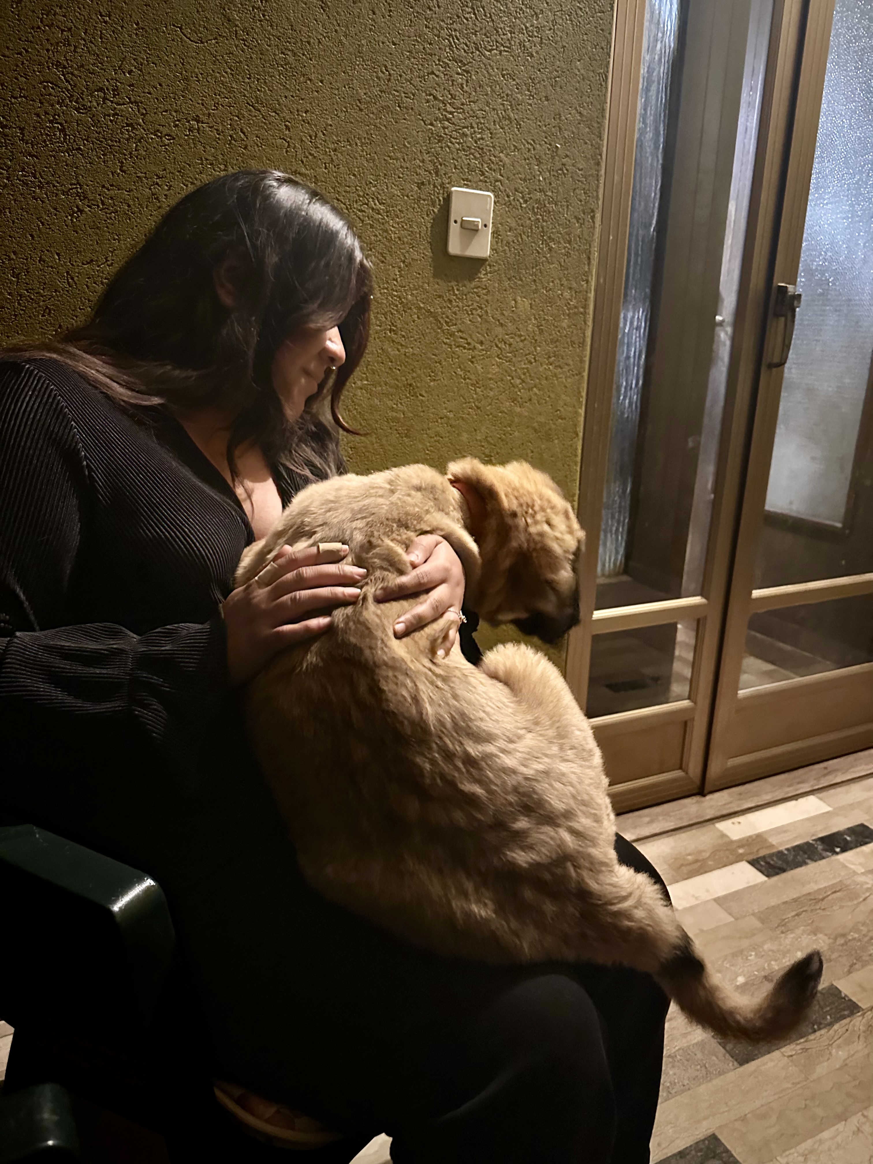 image-2
