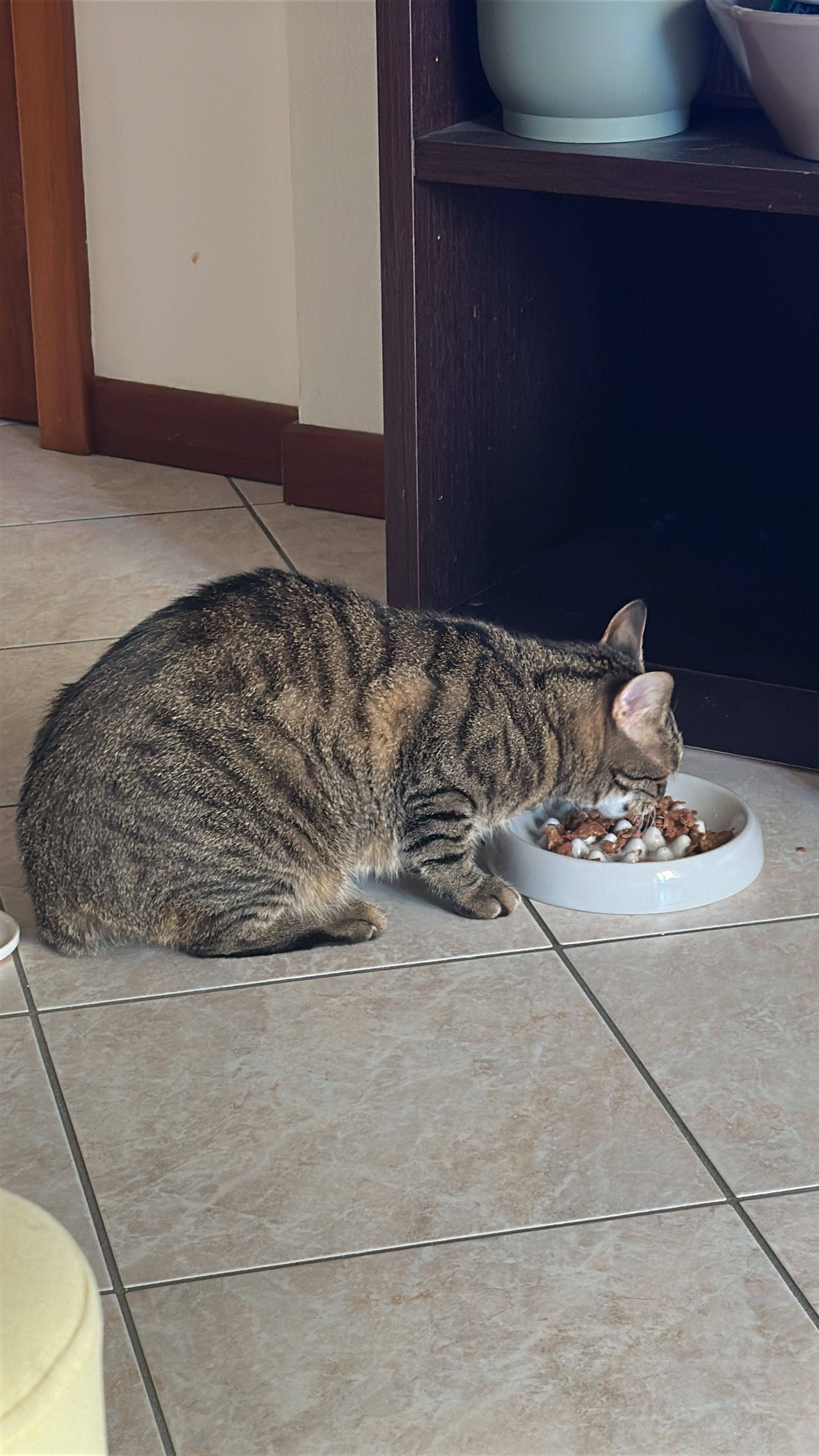 image-14