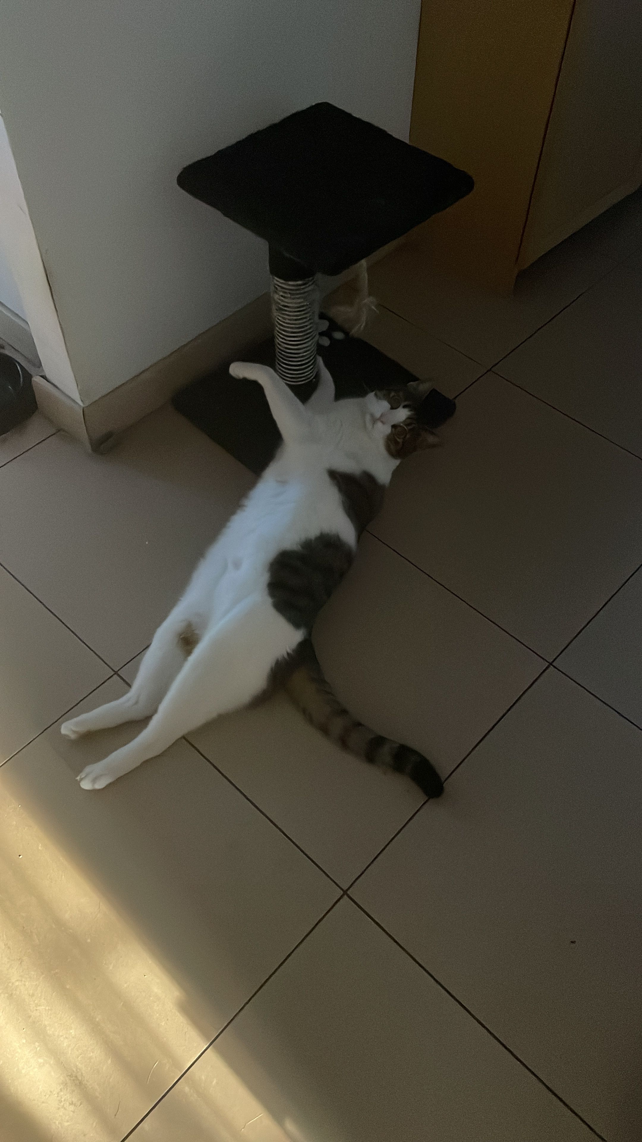 image-10