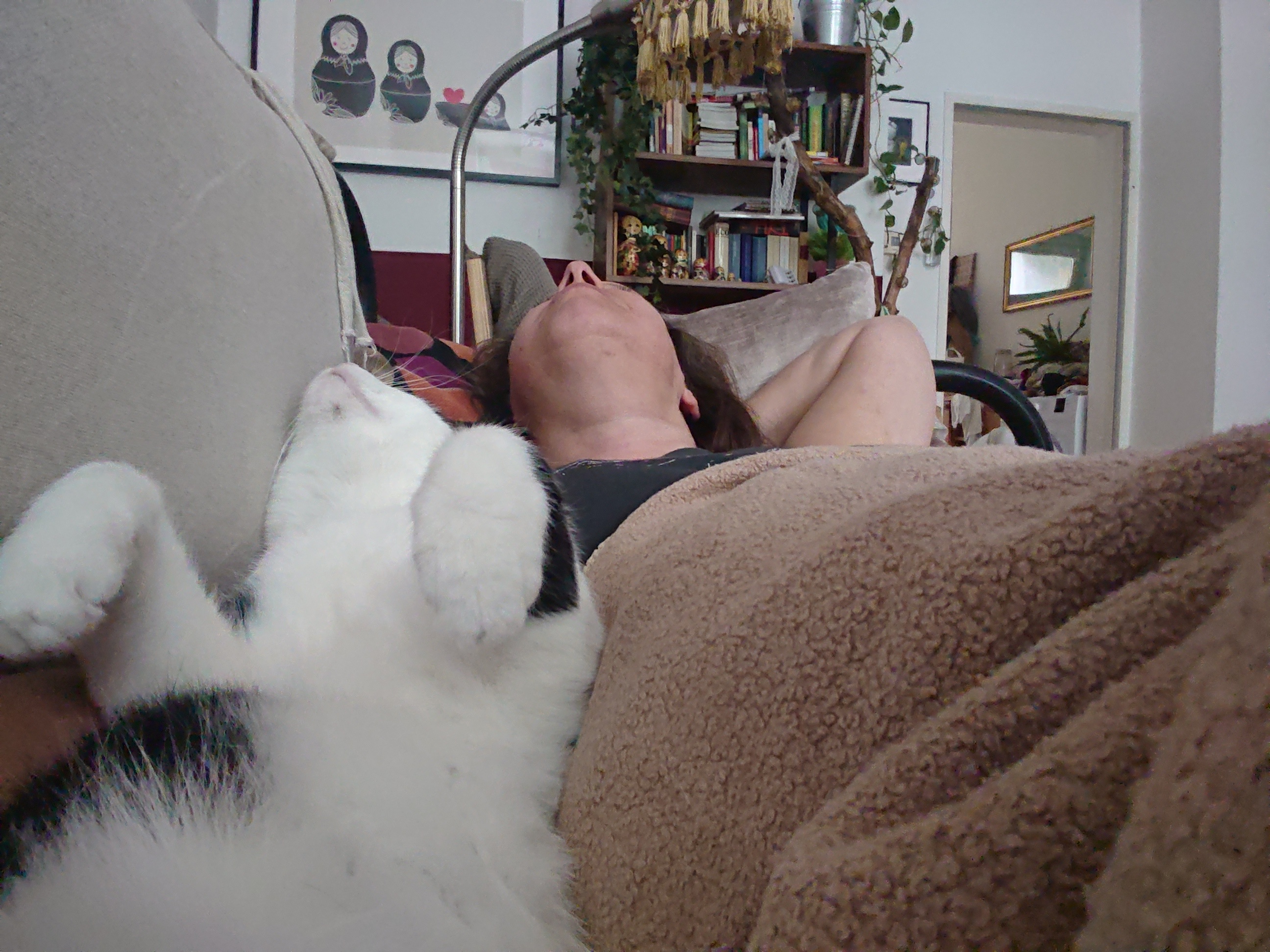 image-6