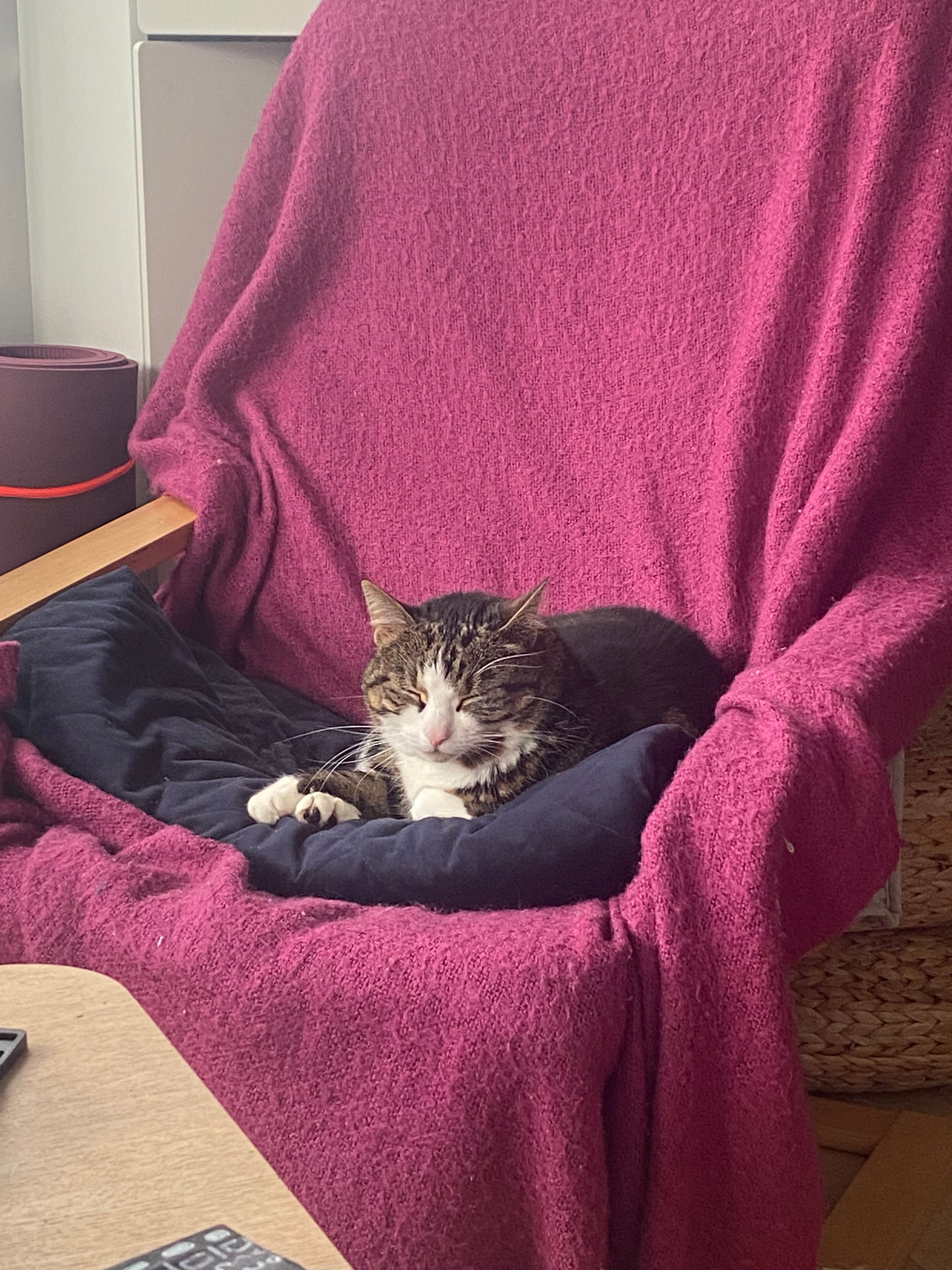 image-8
