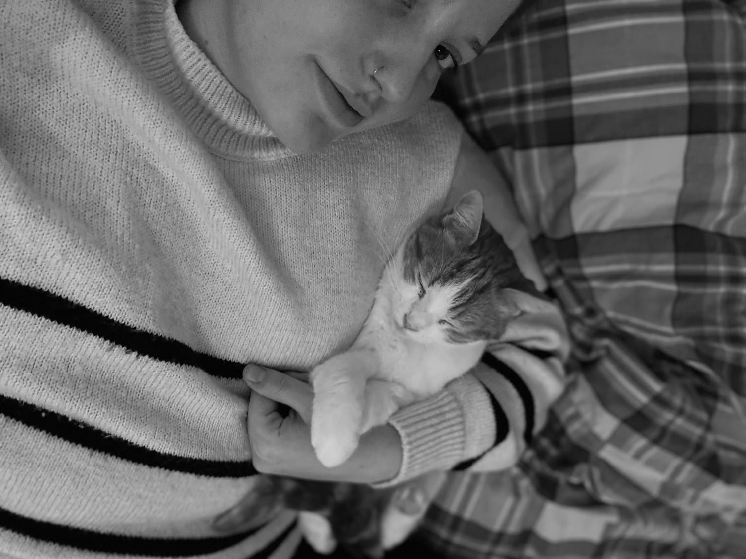 image-5
