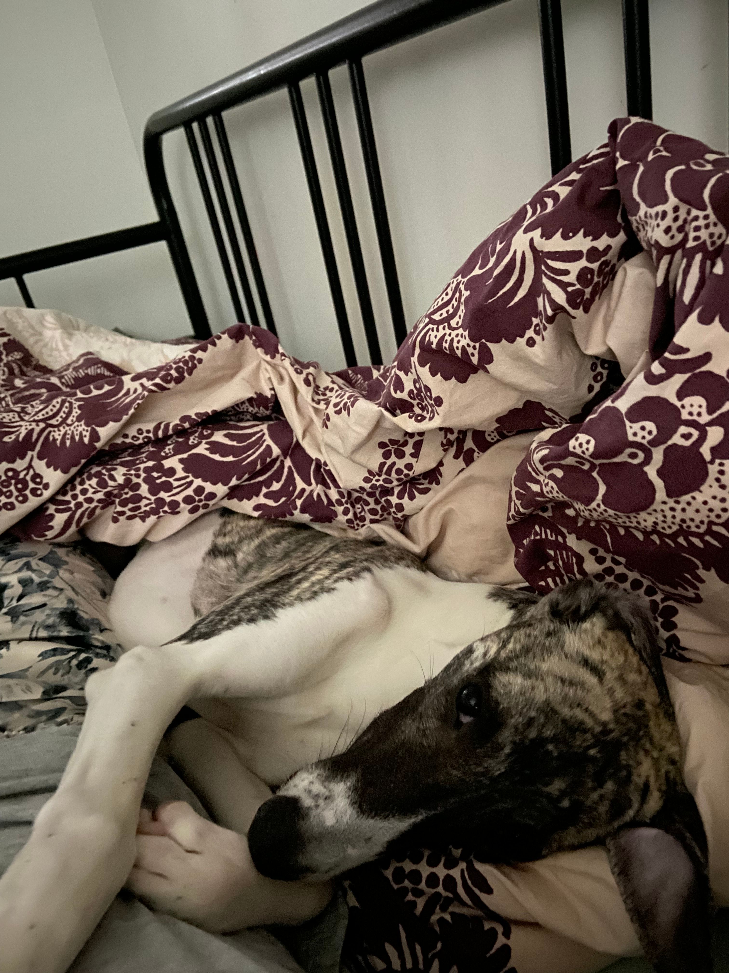 image-4