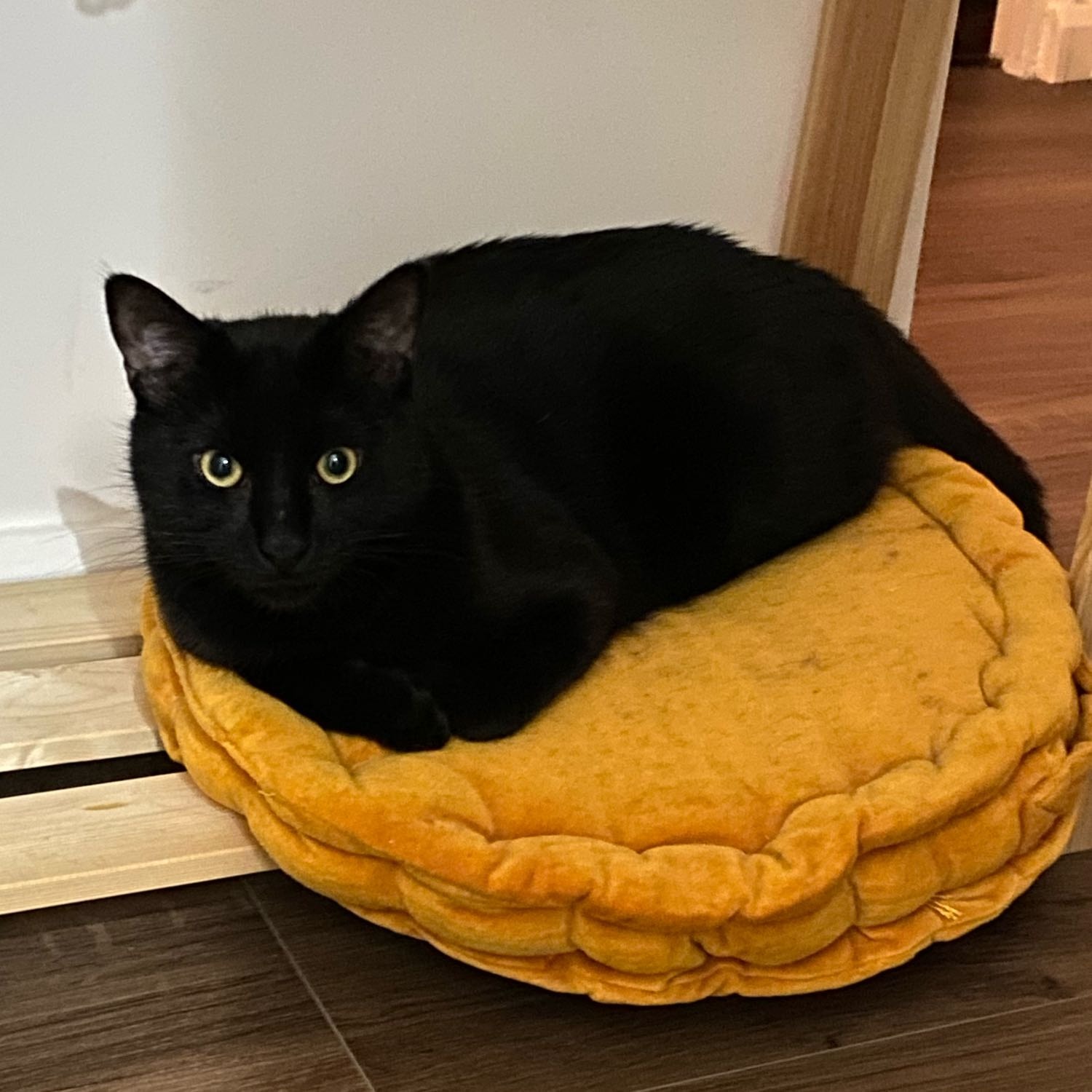 Merlin