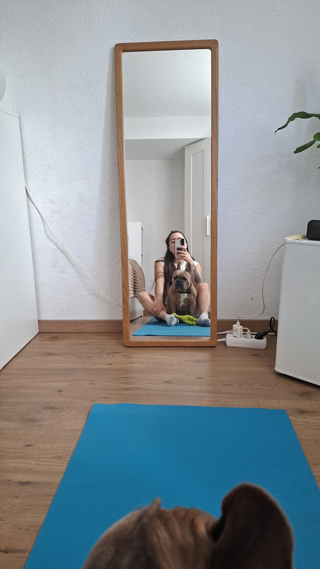 image-9