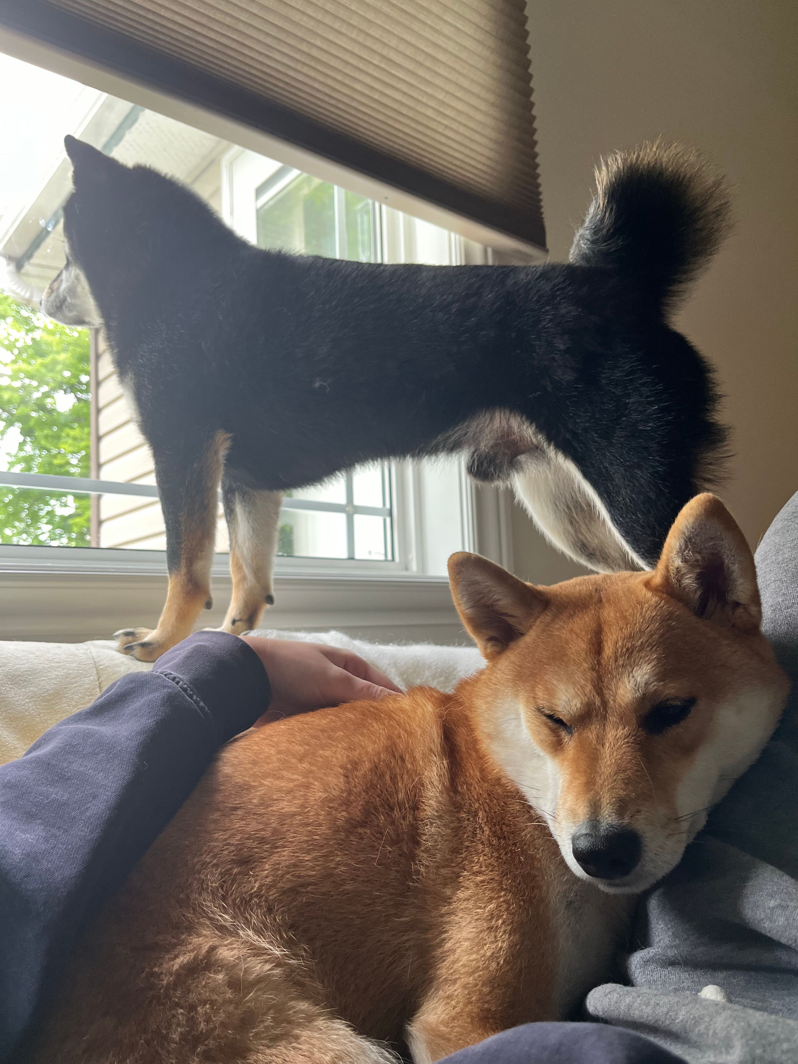image-10