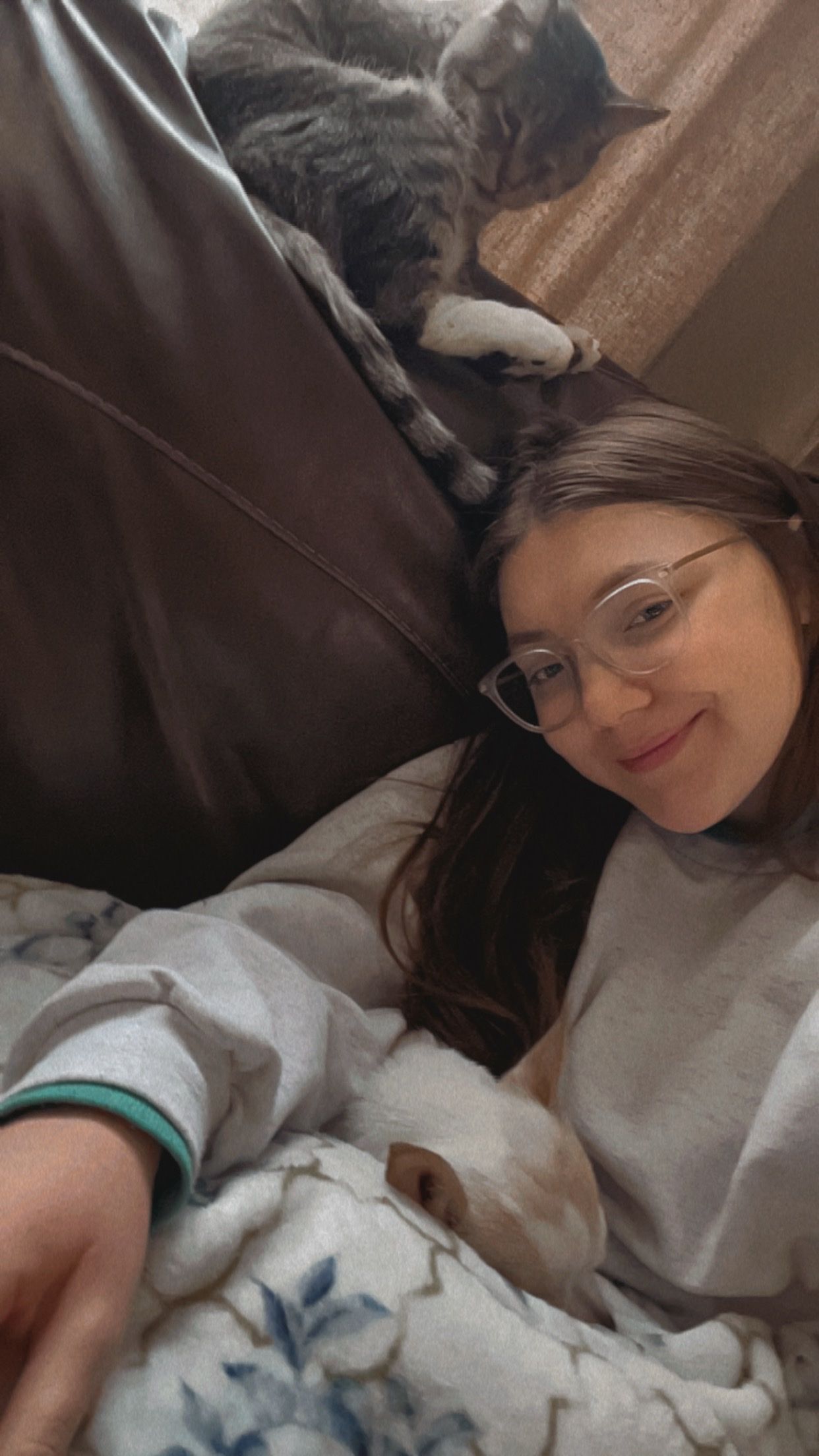 image-7