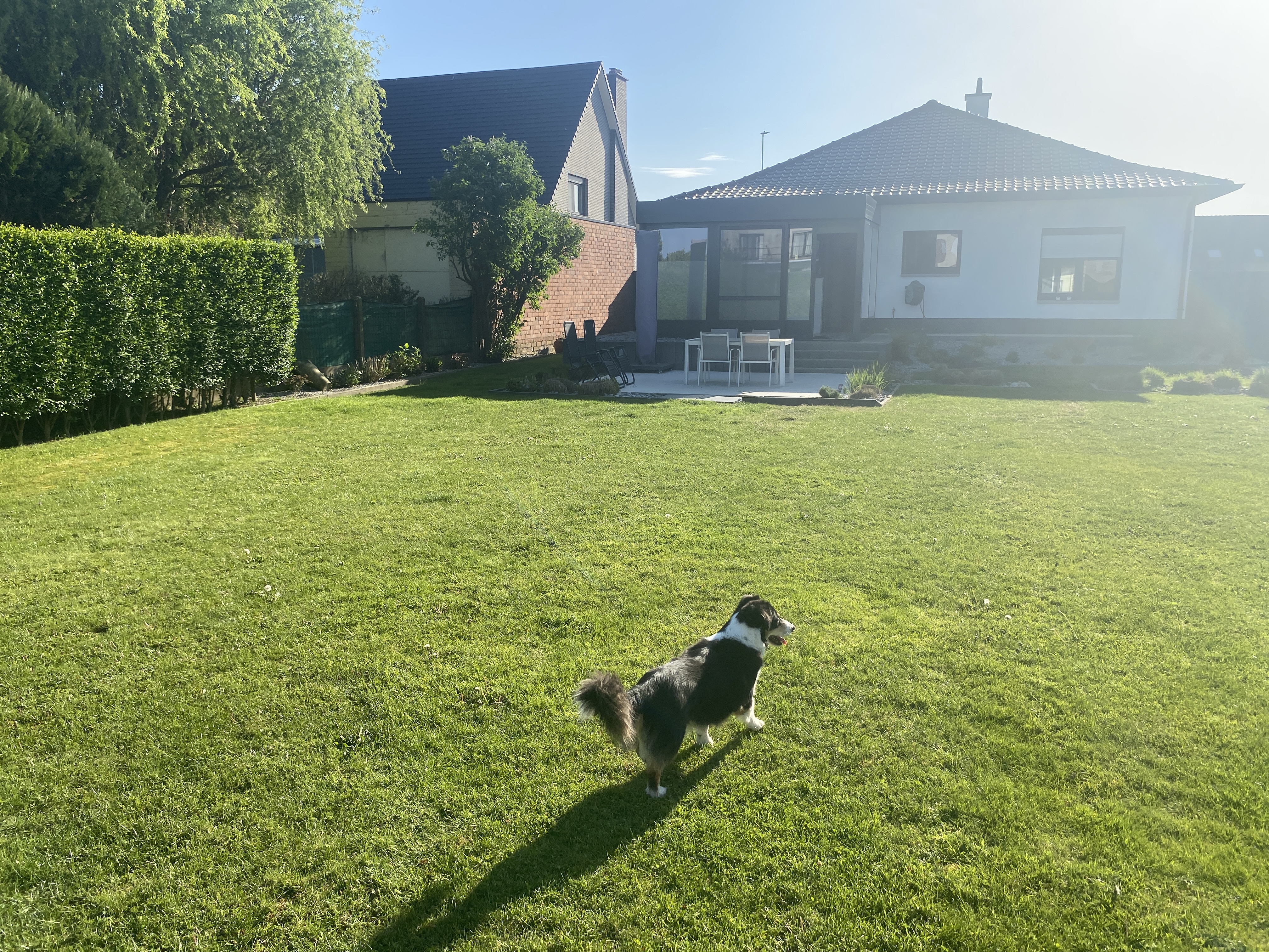 image-14