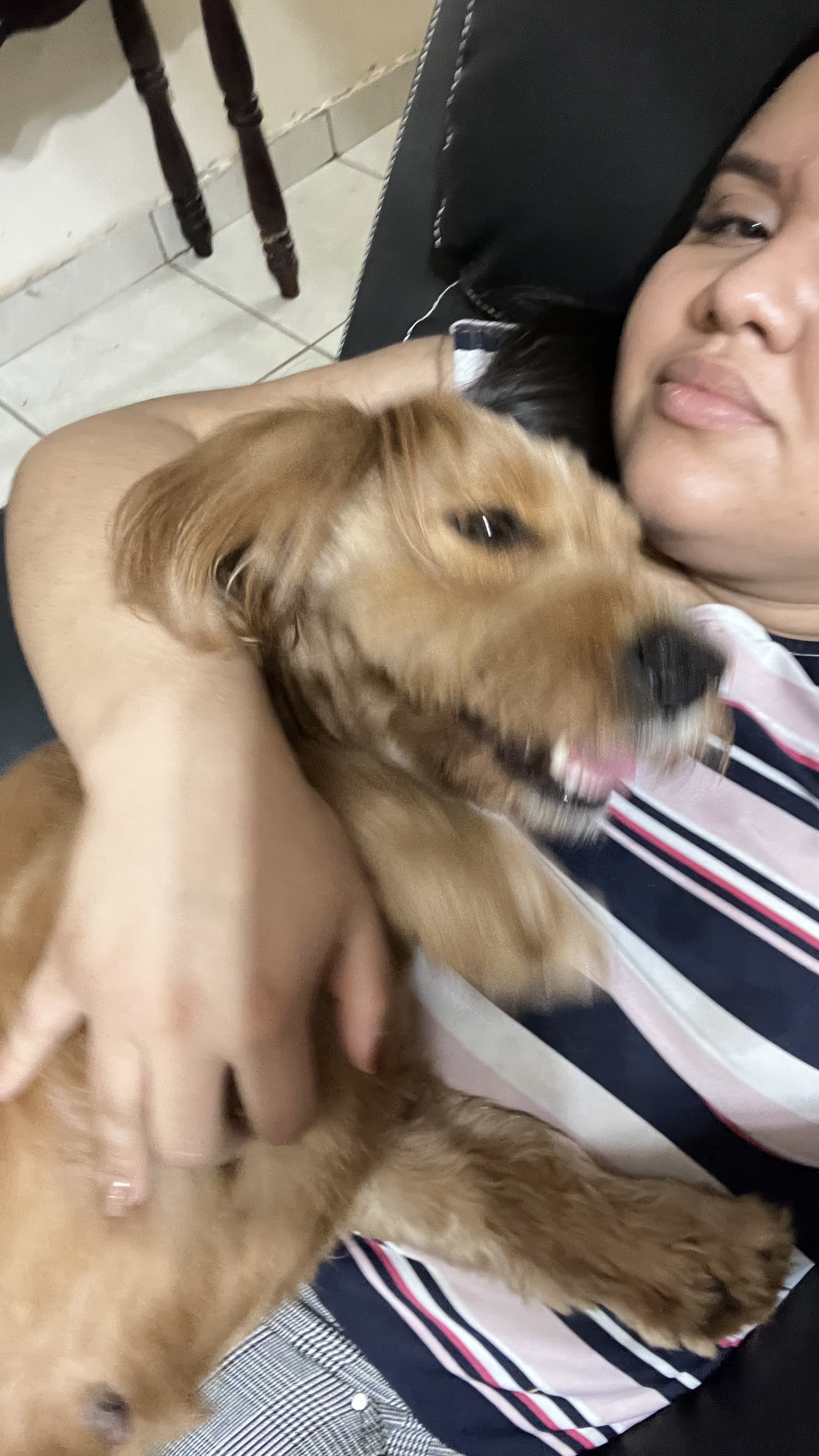 image-8