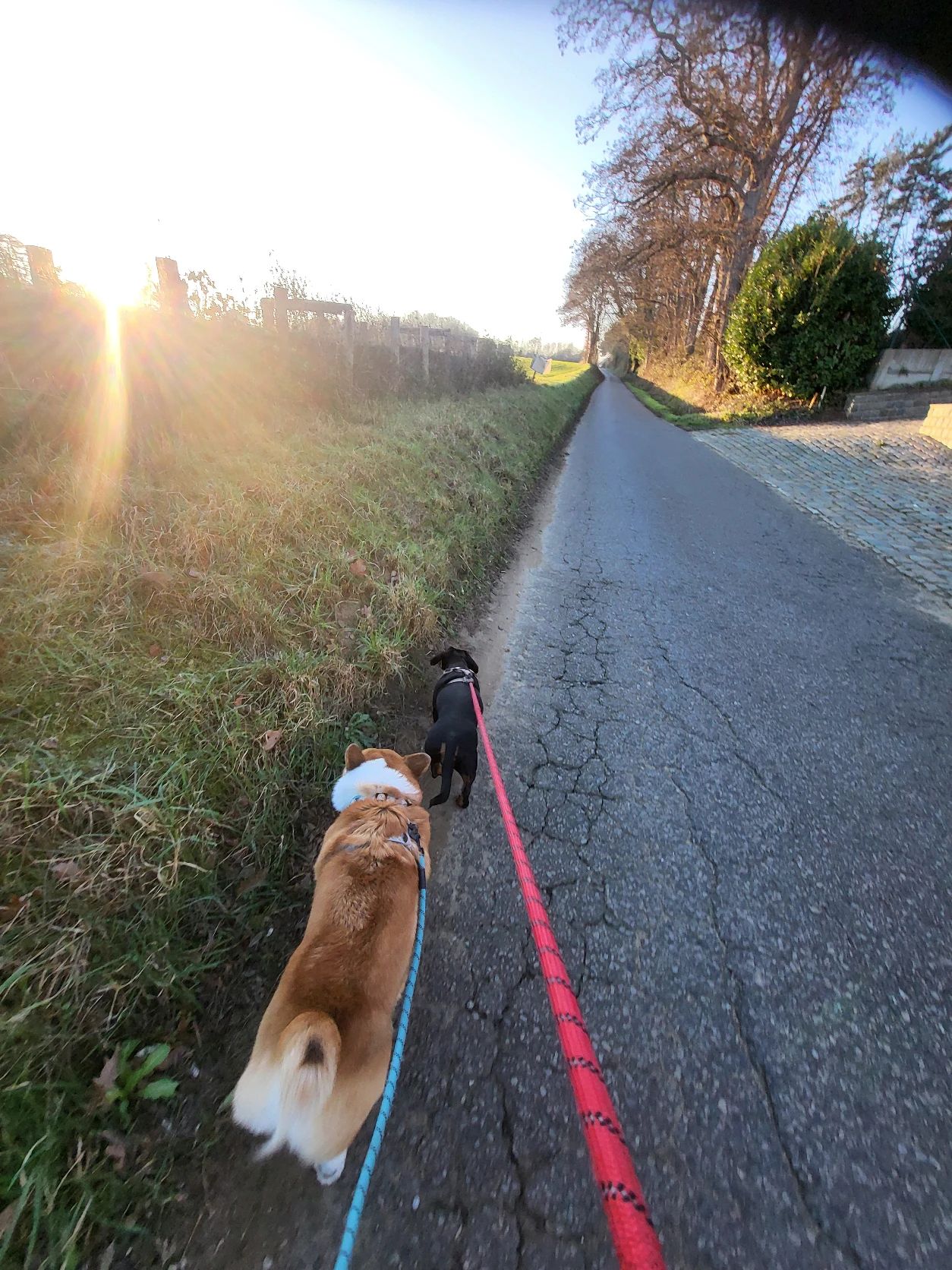 image-13
