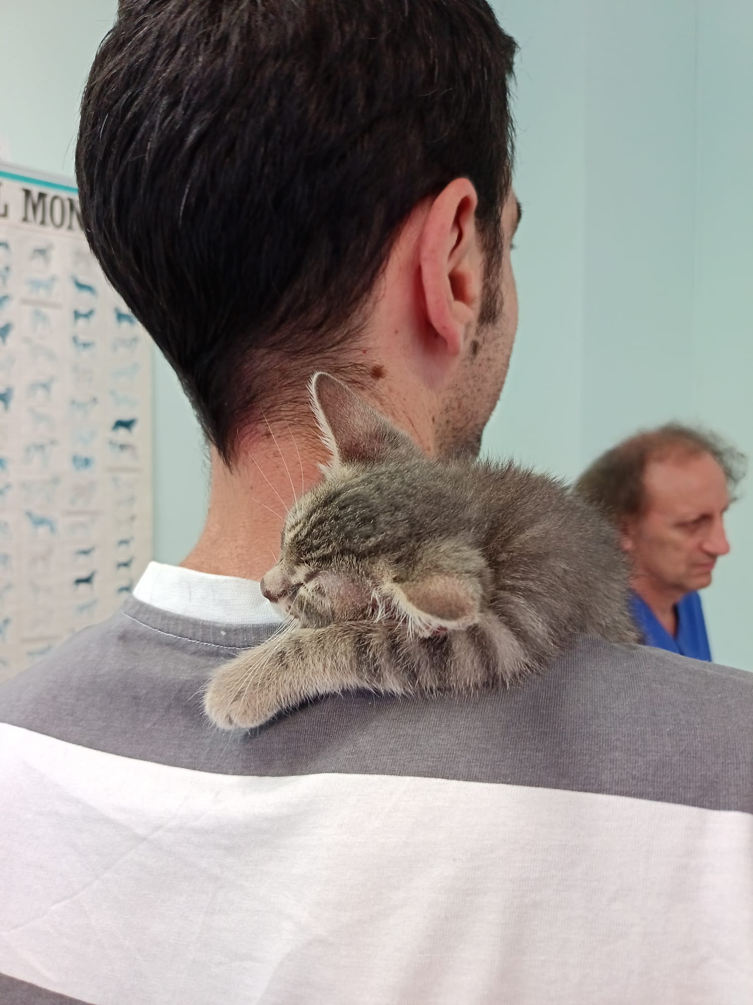 image-3