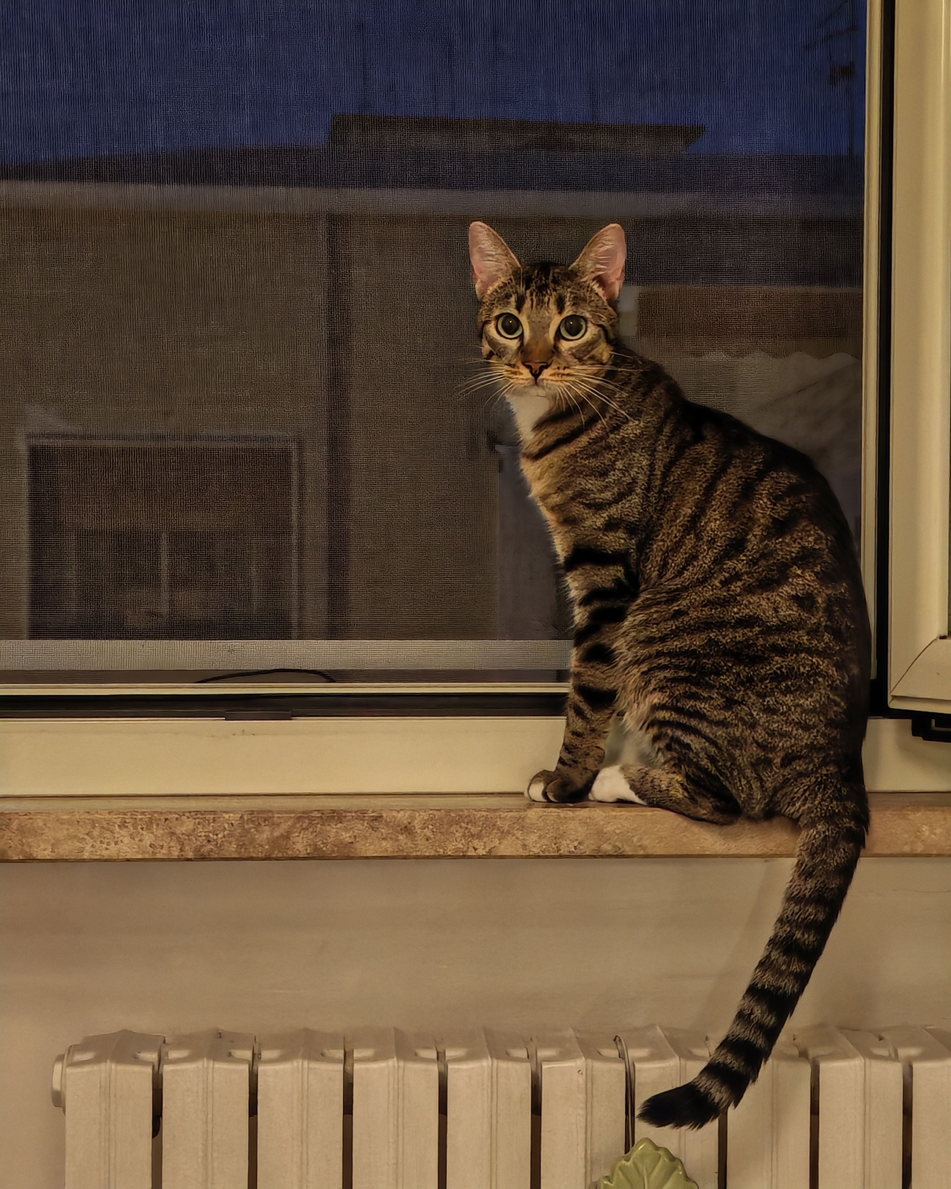 image-9