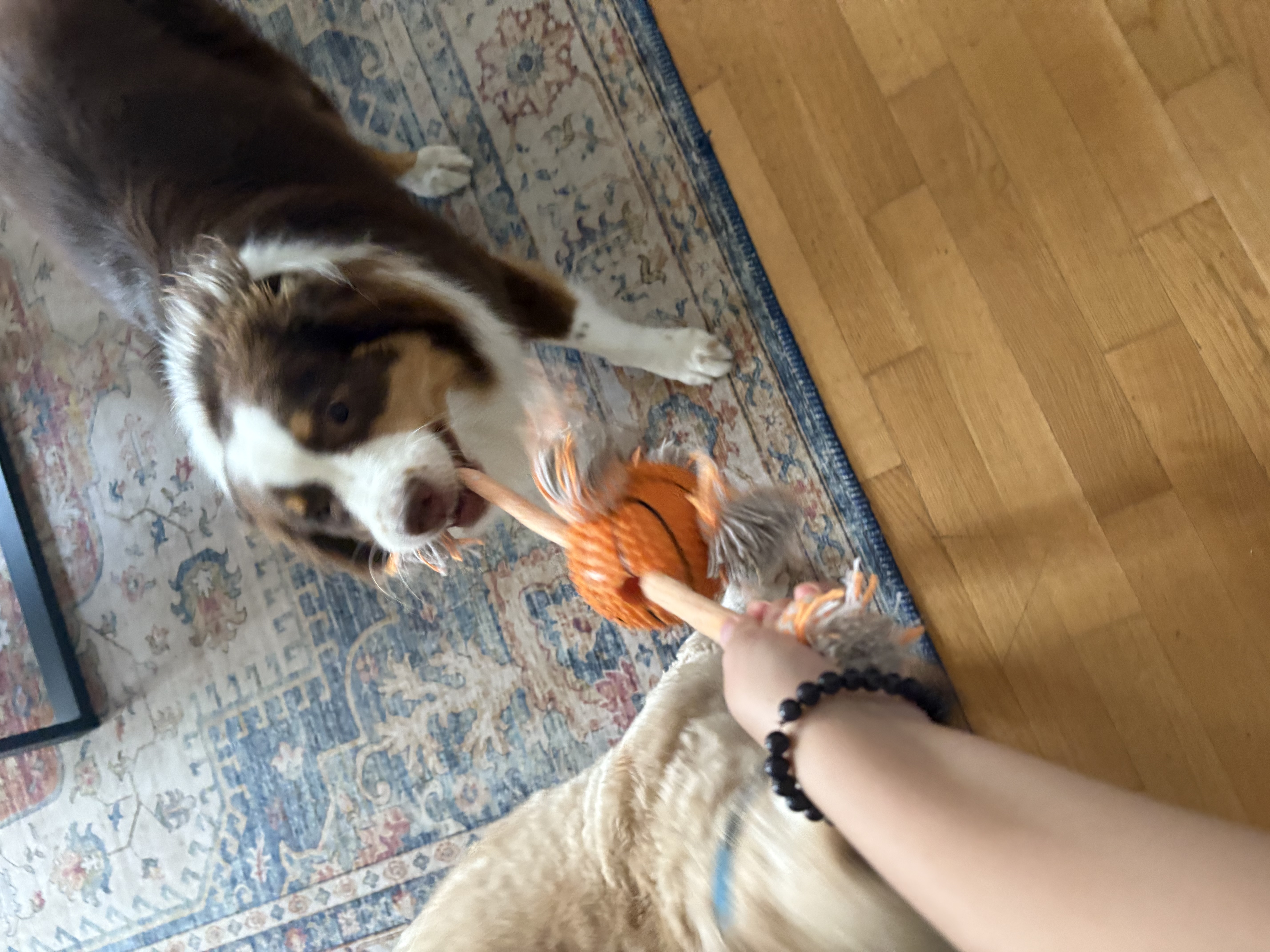 image-11