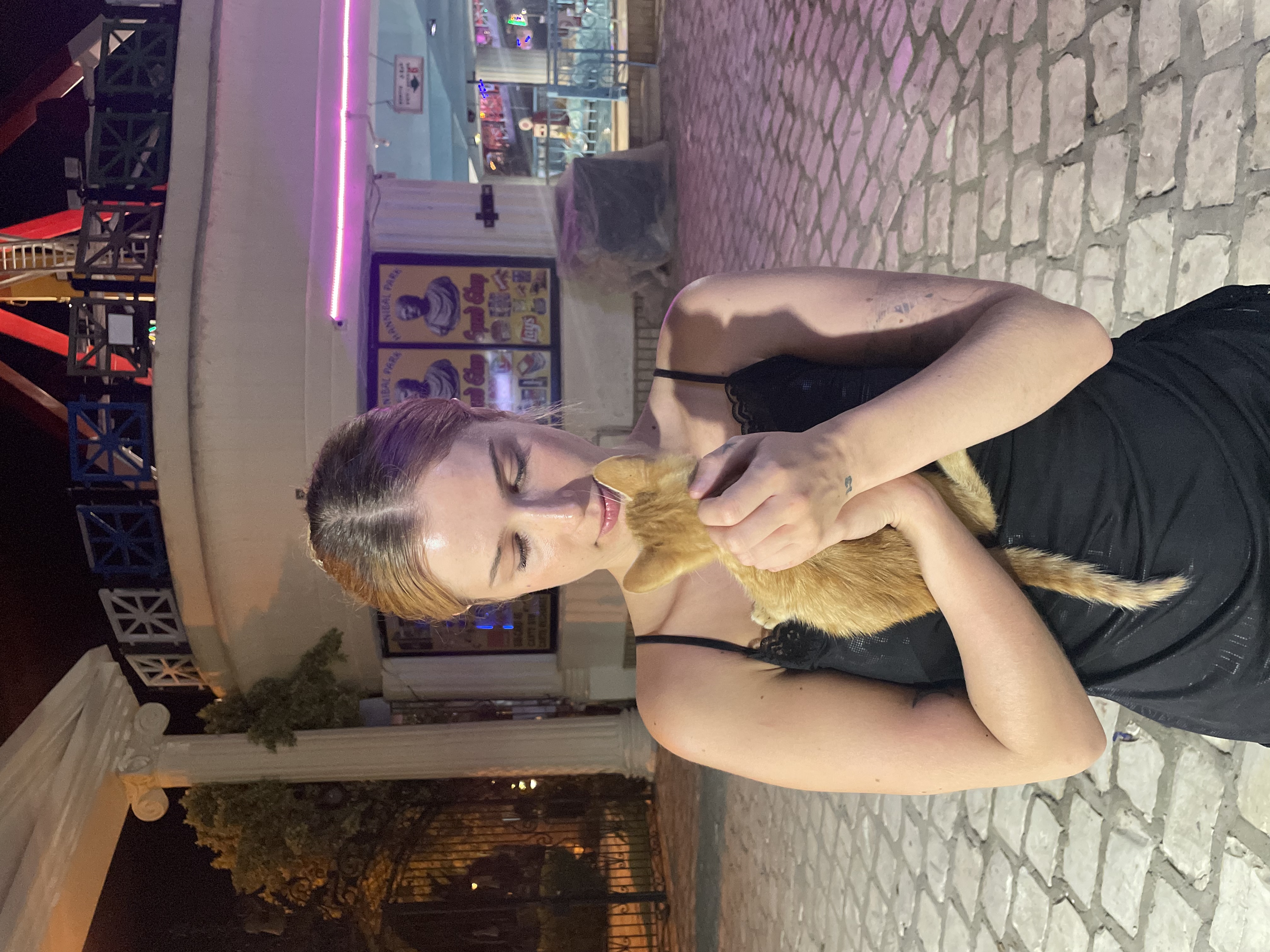 image-4