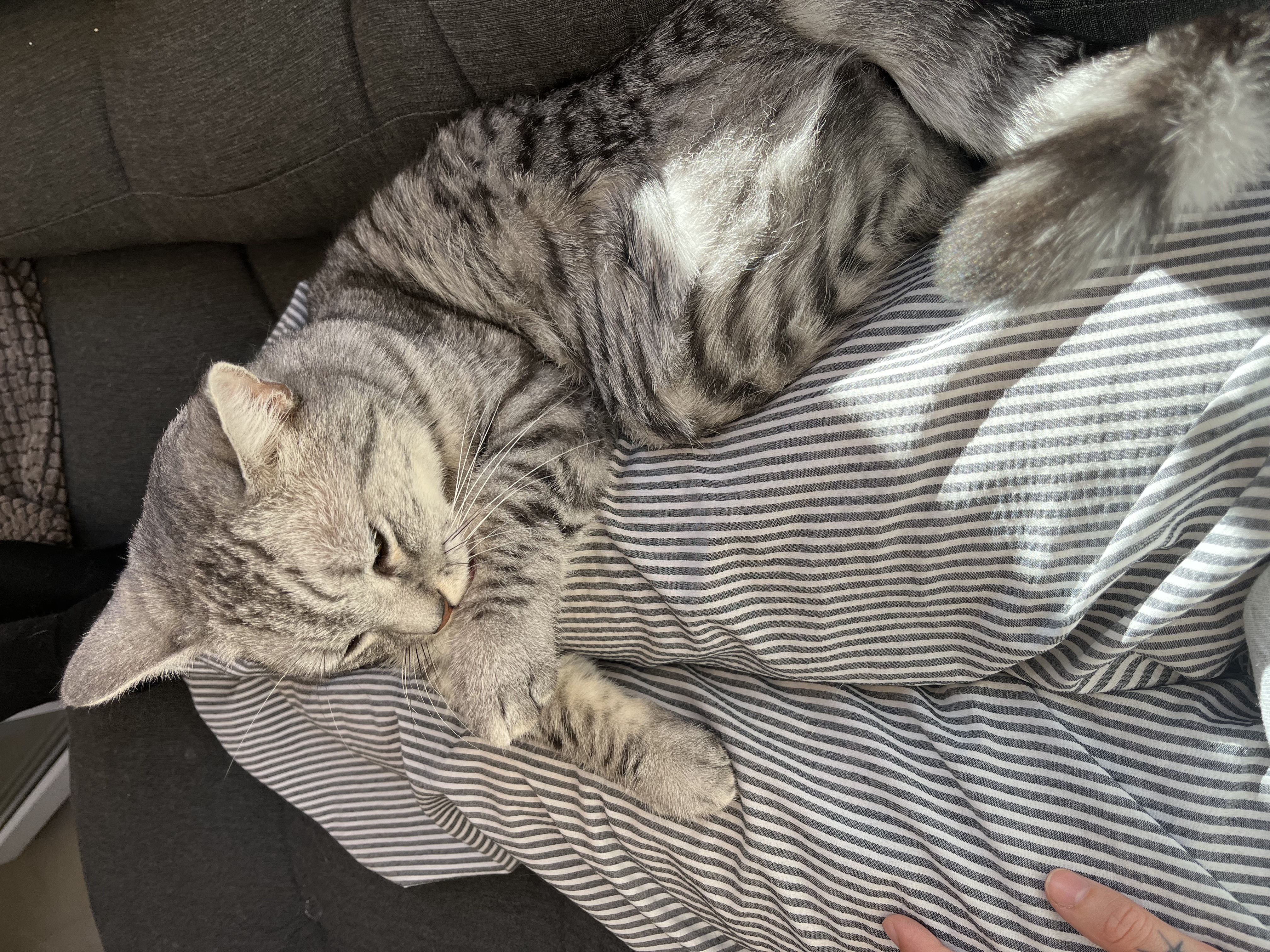 image-8