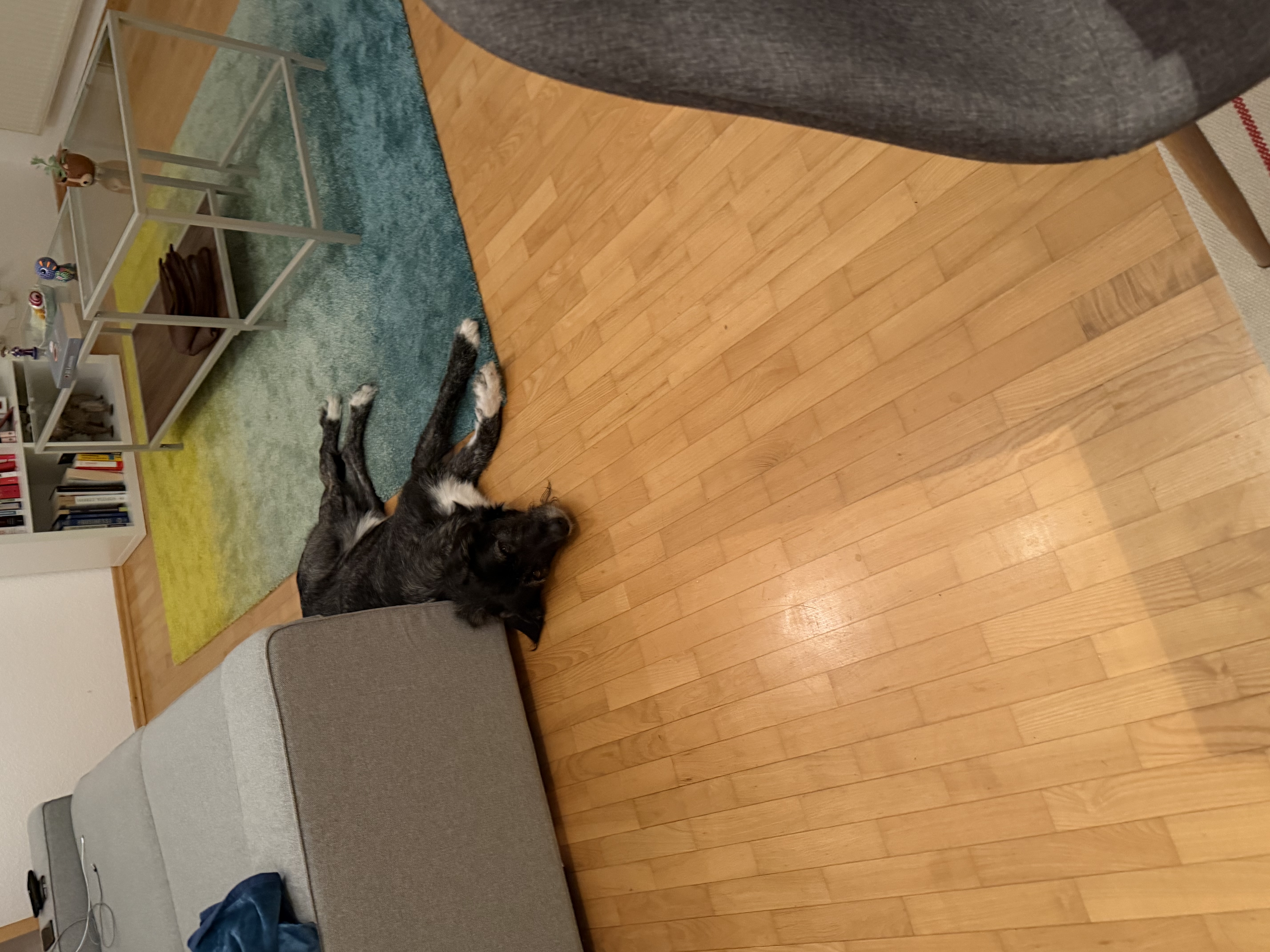 image-5