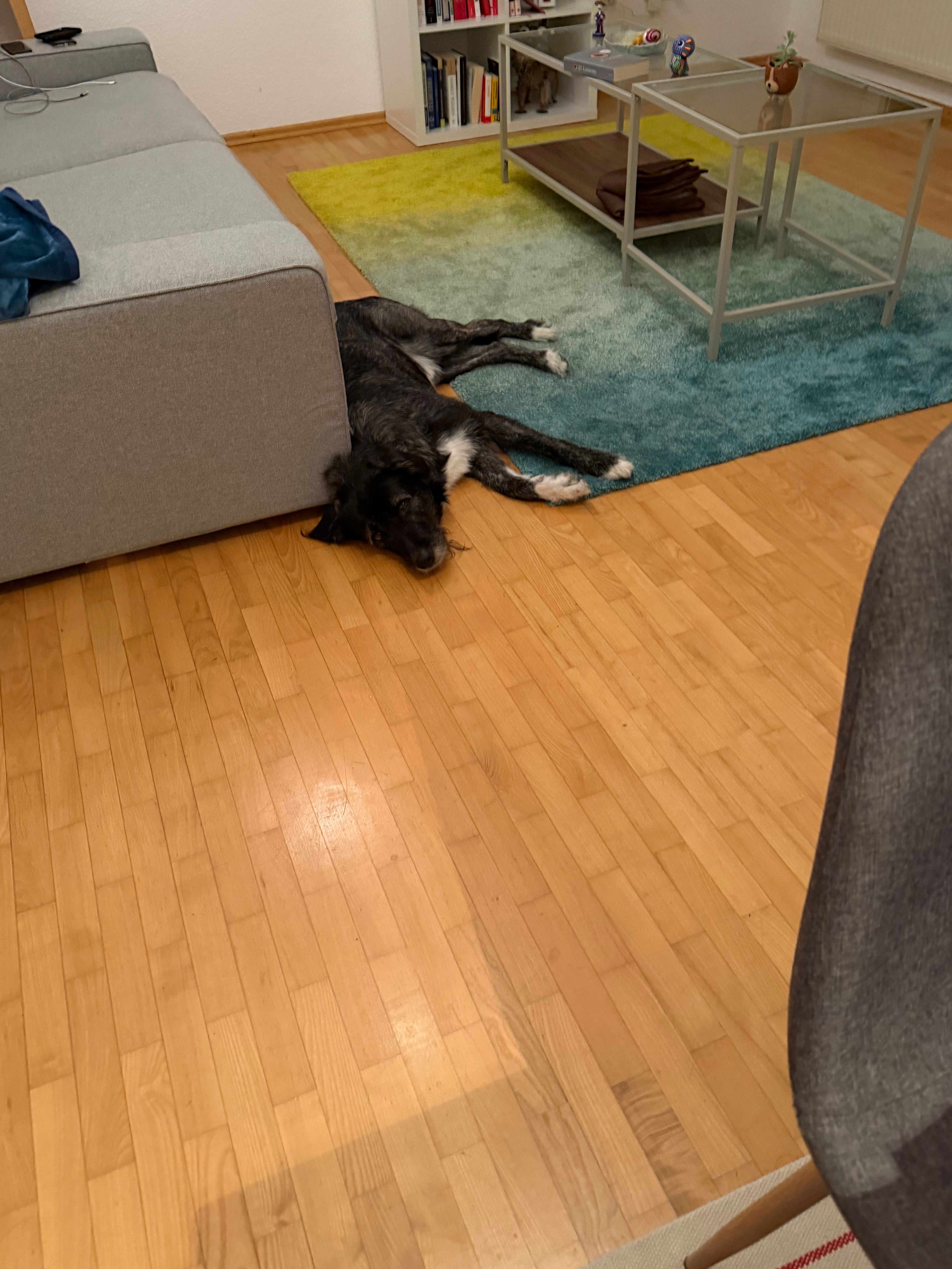 image-5