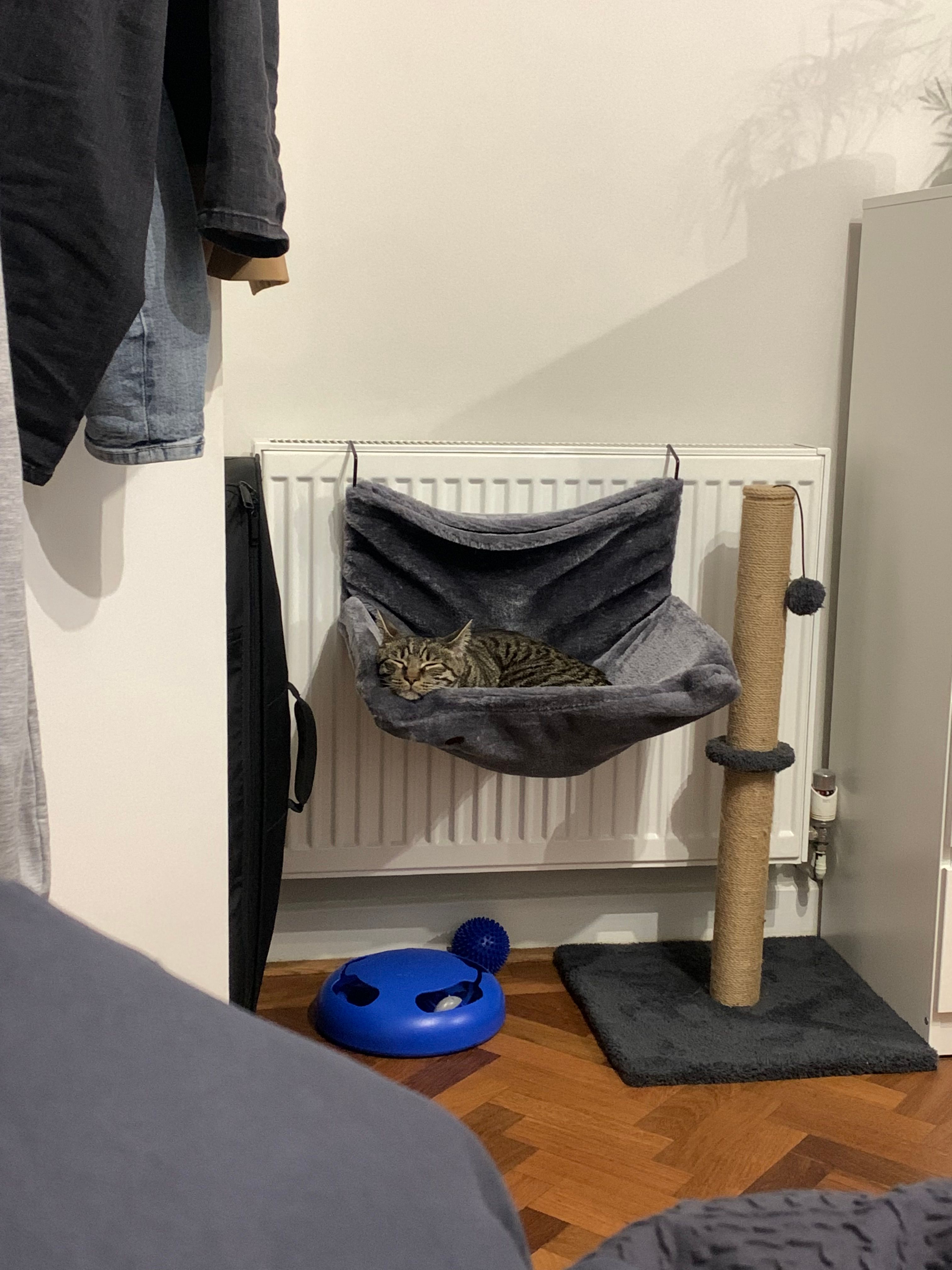 image-11